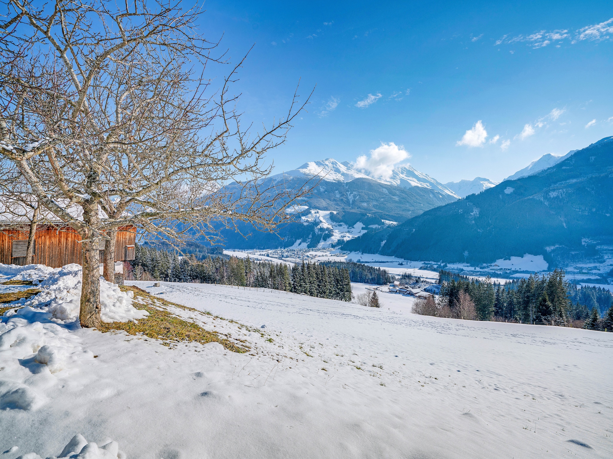 Appartement Bergliebe