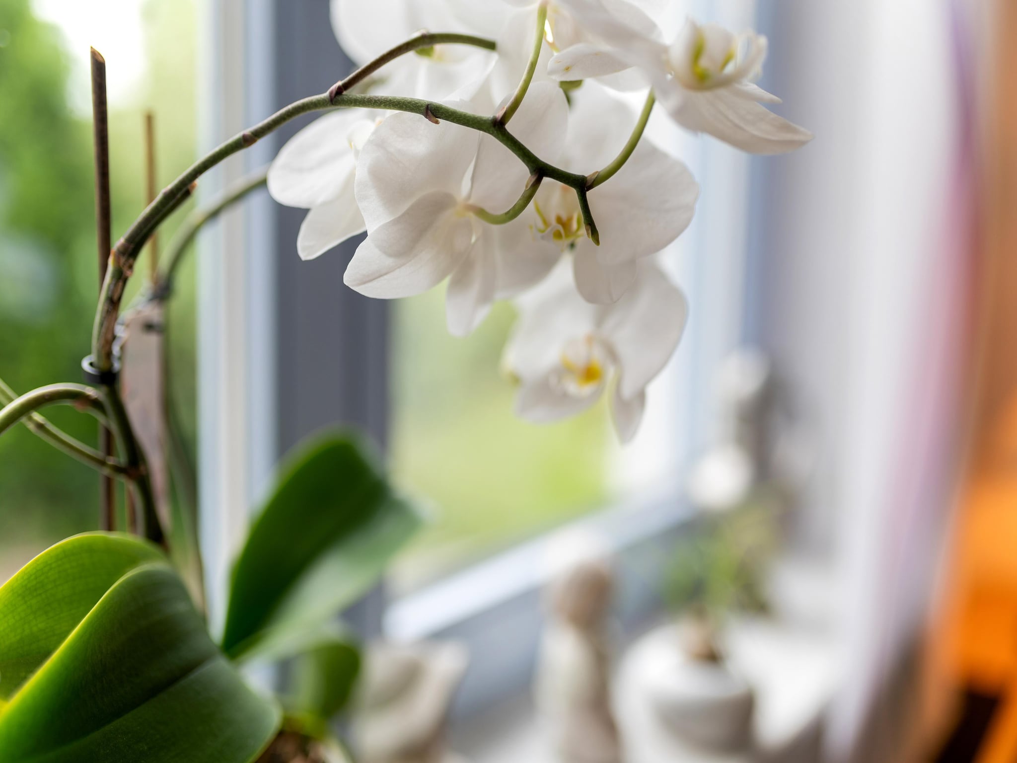 Ferienwohnung Zum Spitzen Land