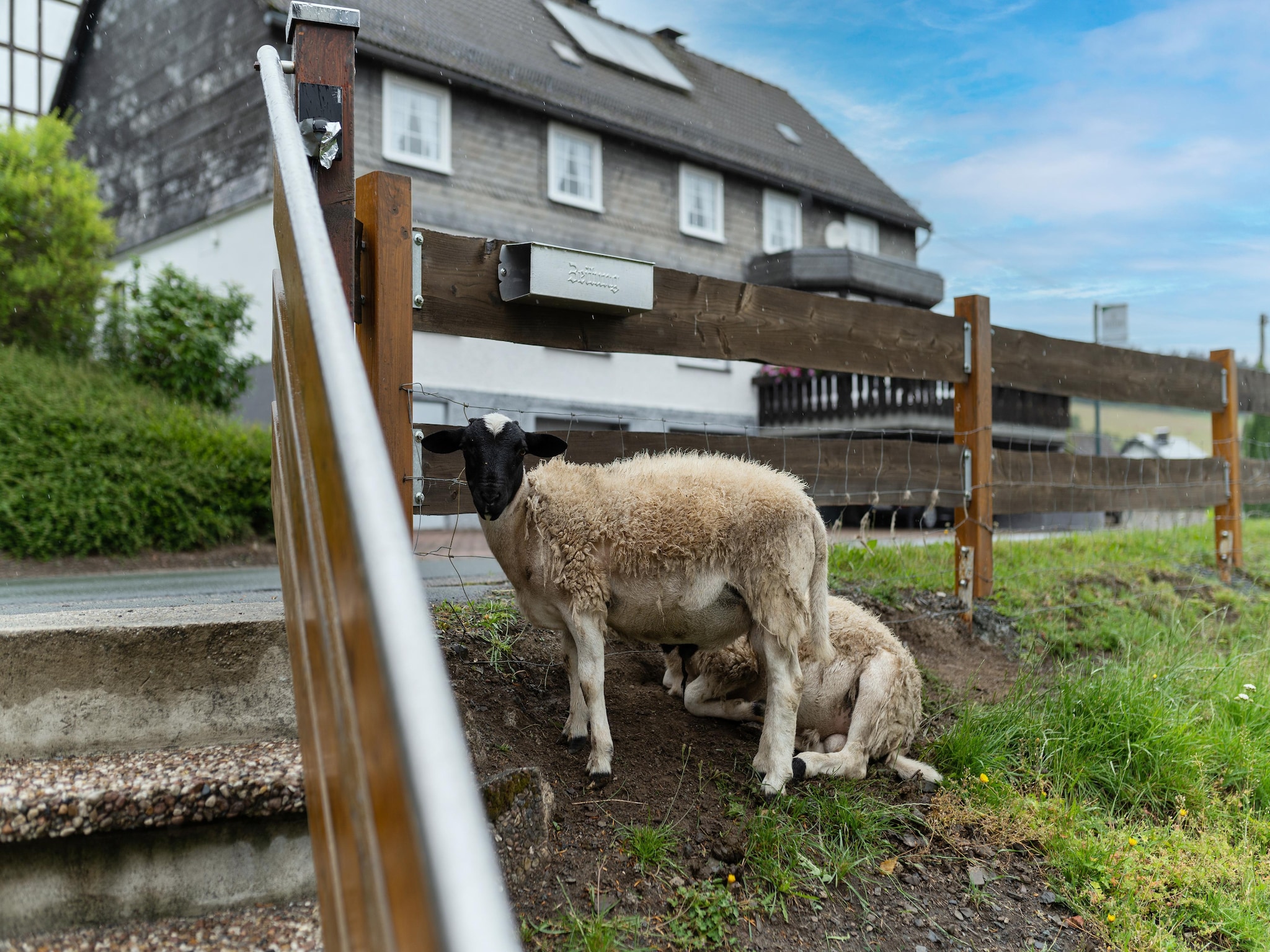 Ferienwohnung Zum Spitzen Land
