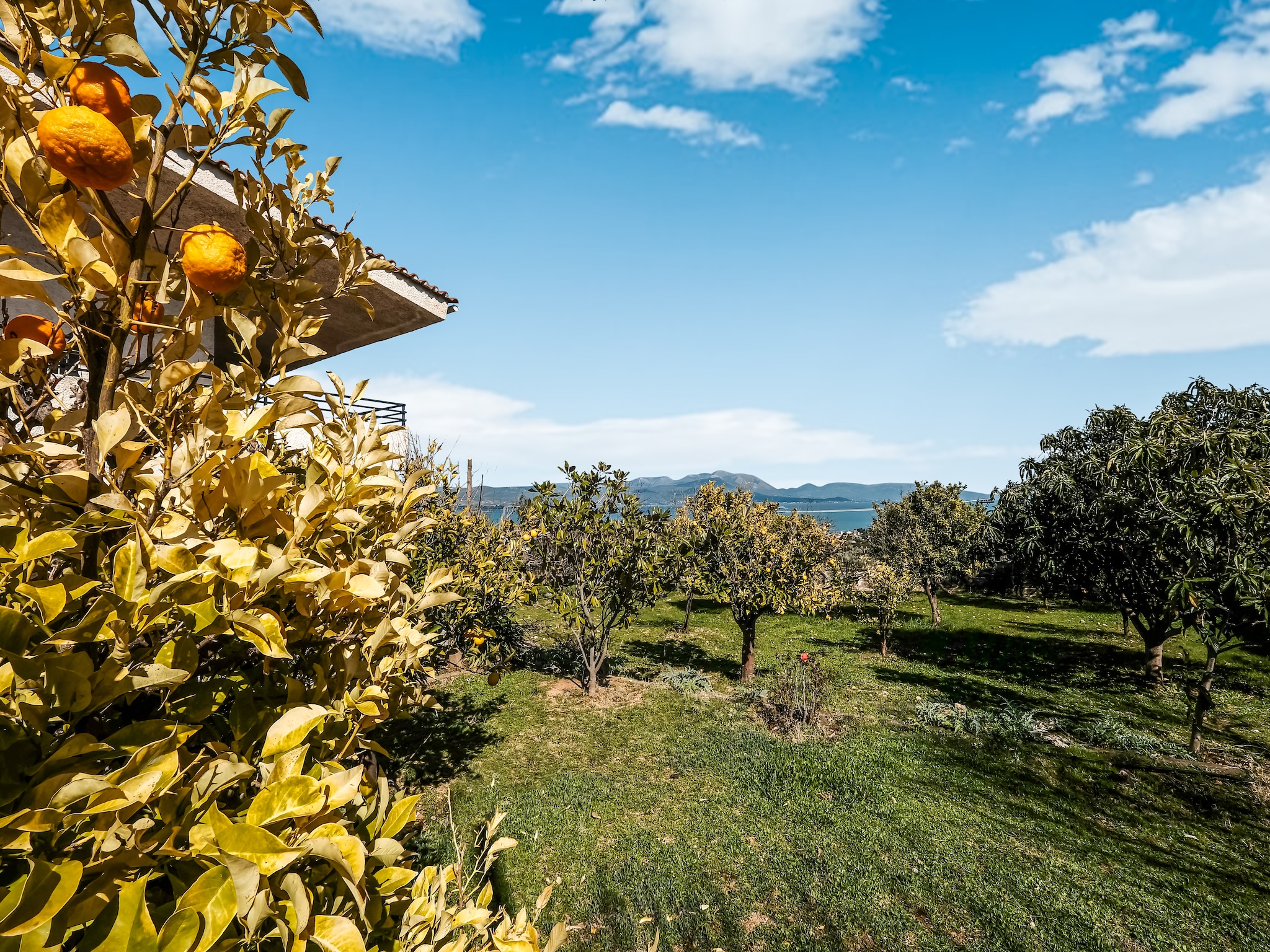 Maison Beautiful Vacation Homes near Evoikos Sea