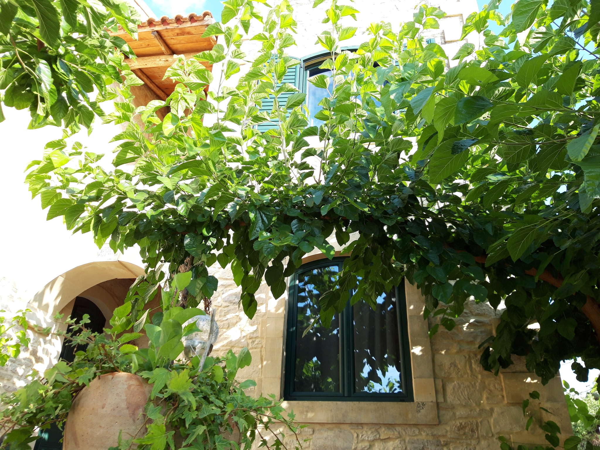 Vacation home Villa Alon