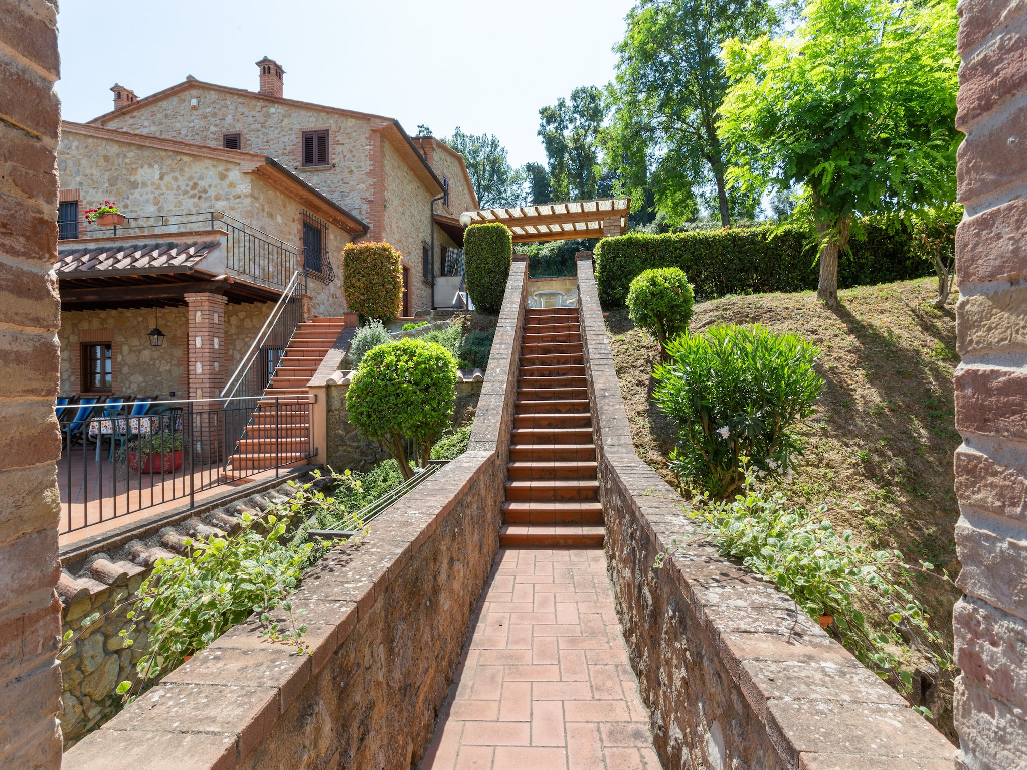   Ulivo