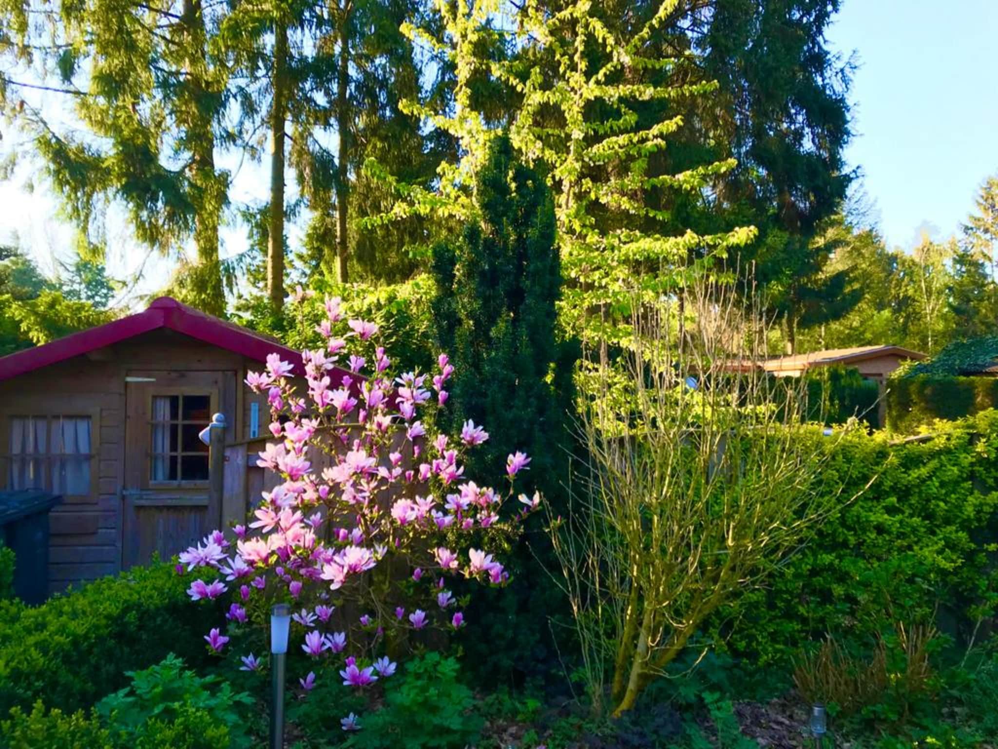 Ferienhaus Chalet 'Bosanemoon'