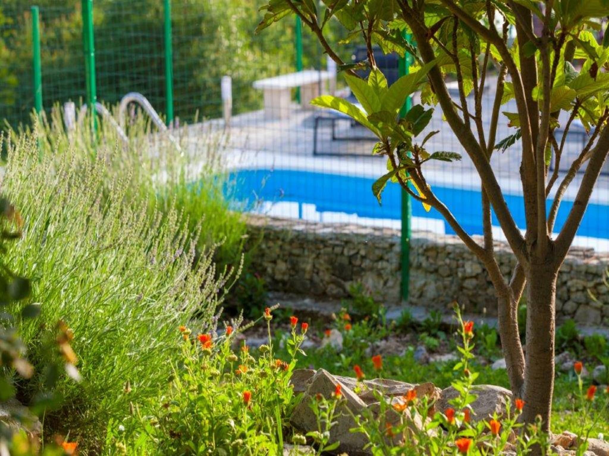 Ferienhaus Villa Ljubini Dvori