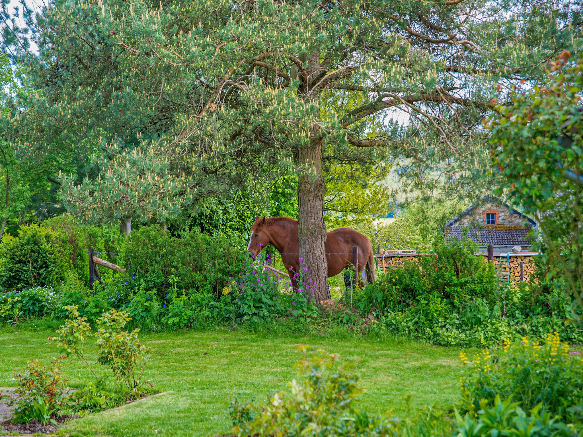 Ferienhaus Les Hirondelles