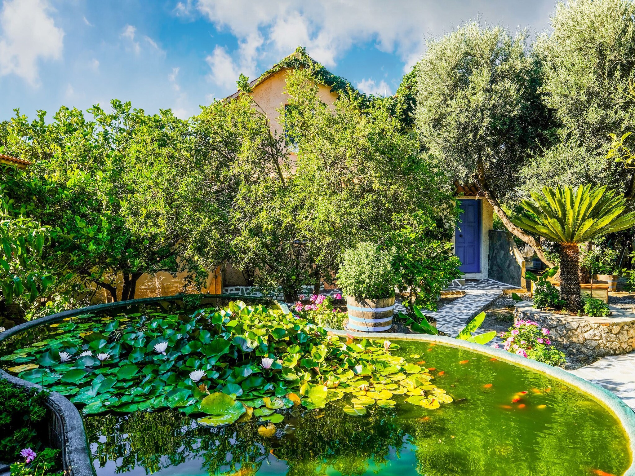   Olive Tree Cottage No 4