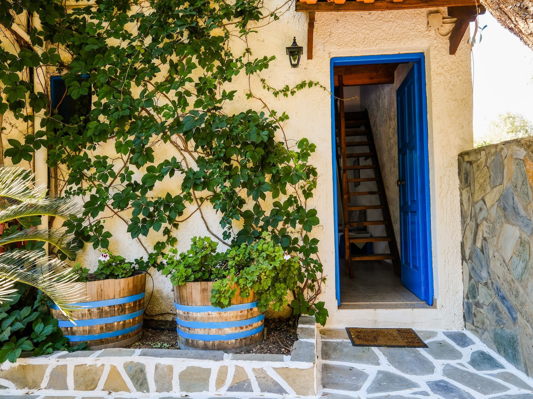   Olive Tree Cottage No 4
