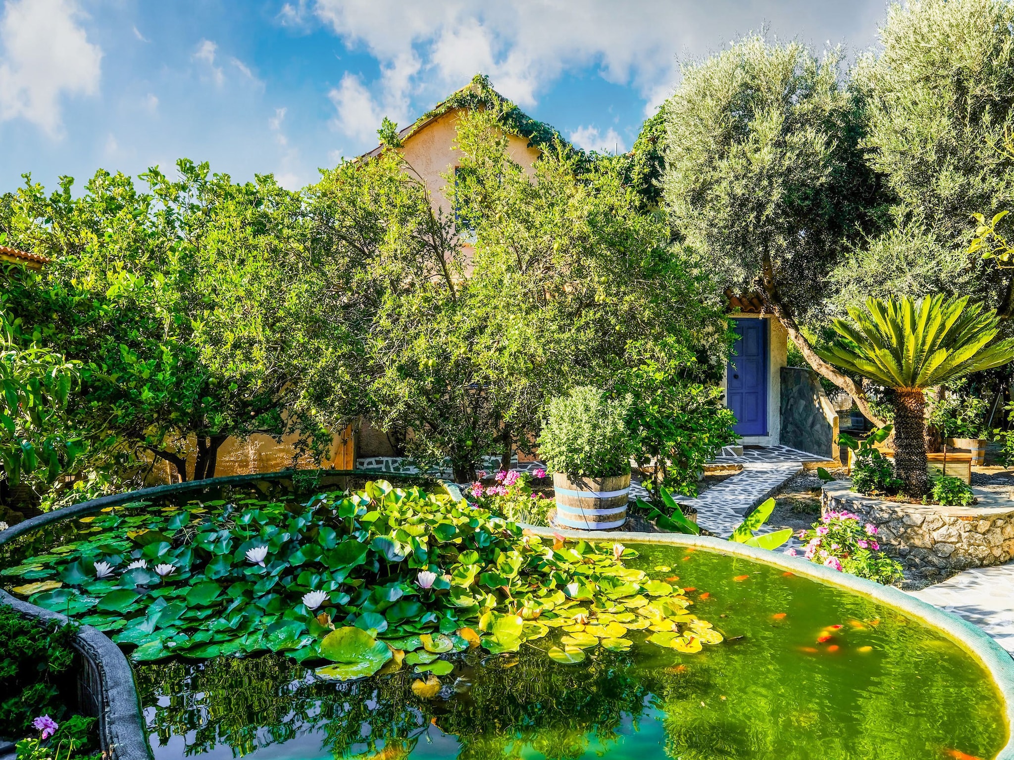  Olive Tree Cottage No 3