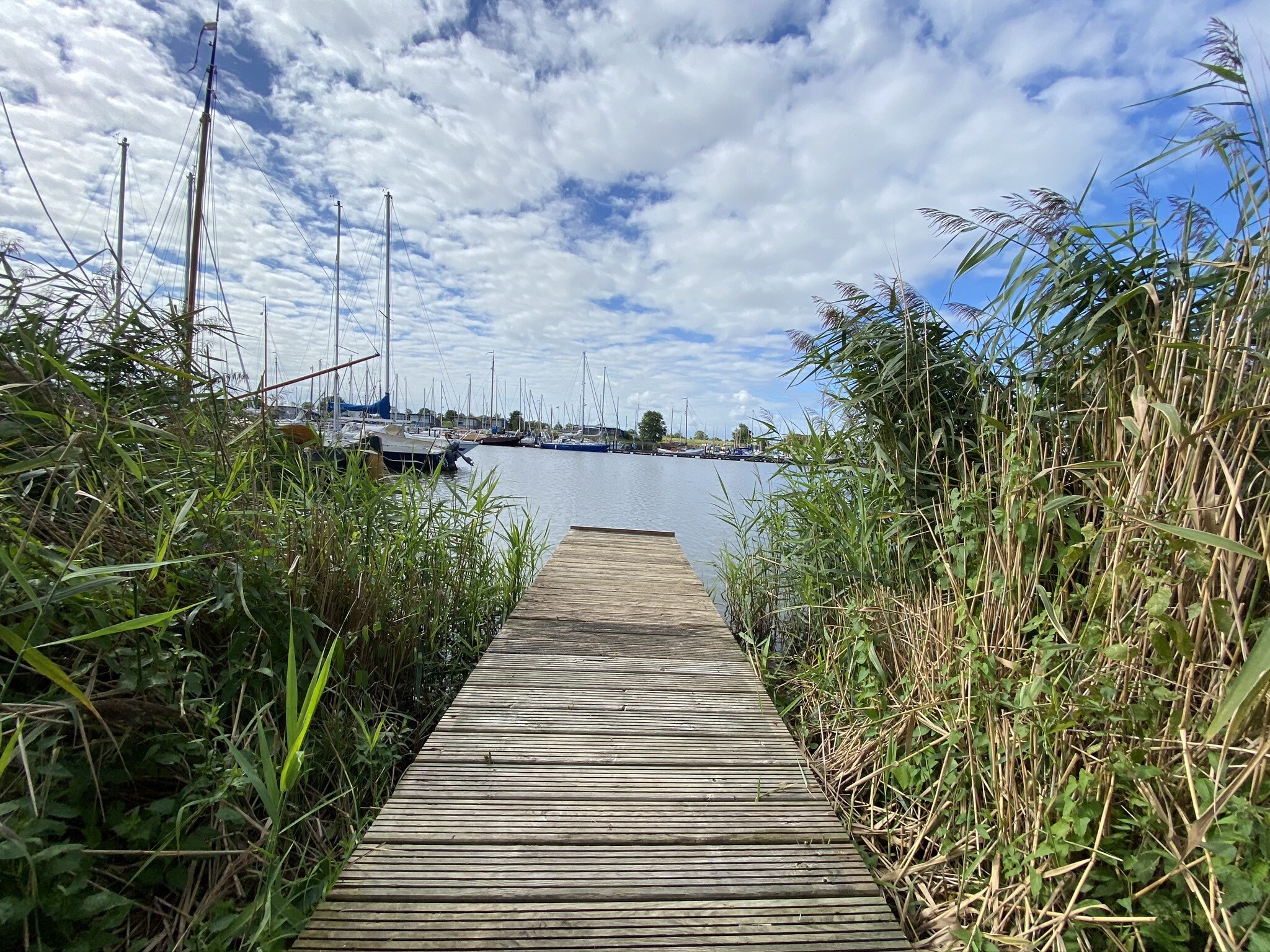 Vakantiehuis Vakantiehuis Lauwersmeer