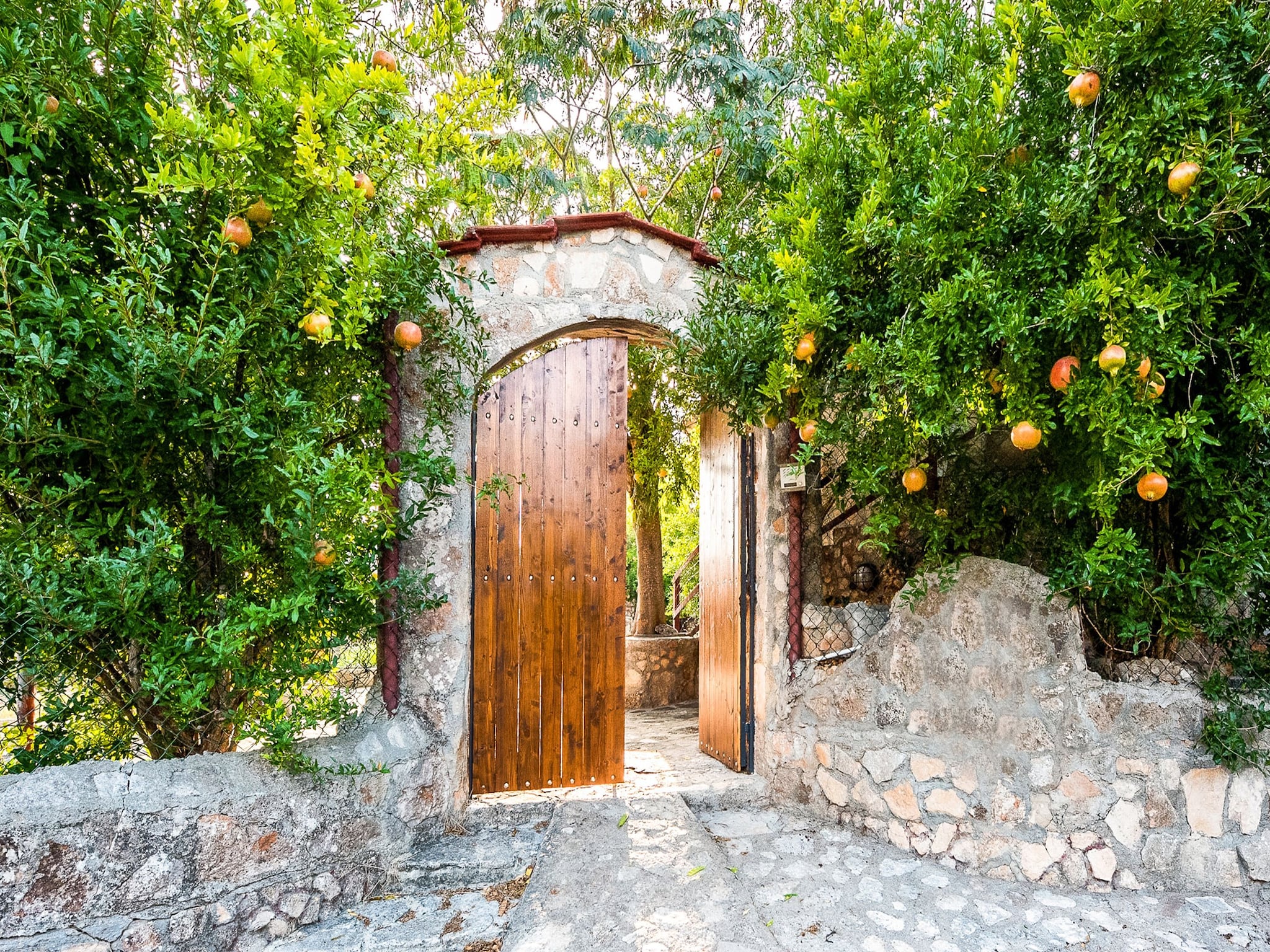   Villa Barone Guest House