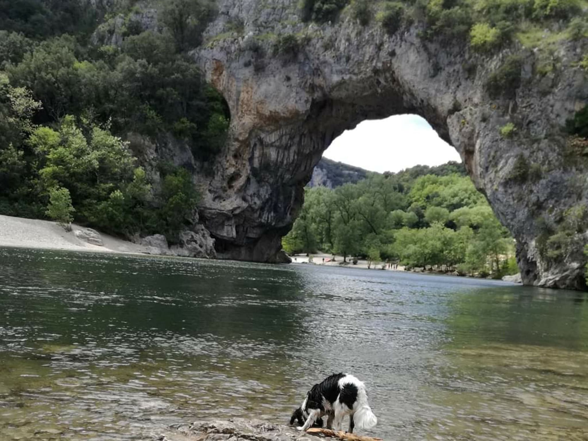   Appartement 6 personnes  Les Salamandres