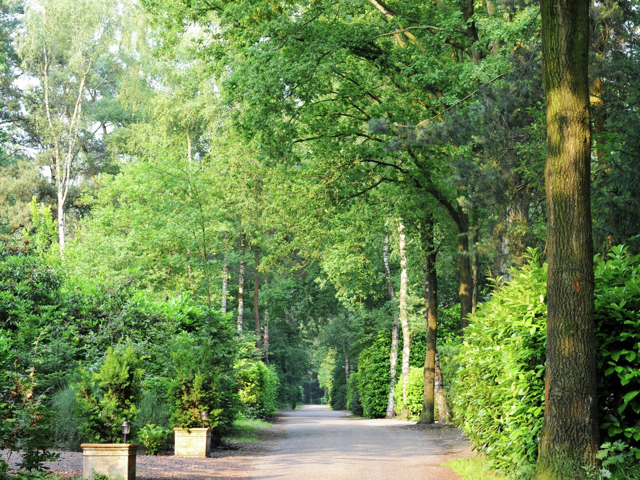 Casa de vacaciones Parc de Kievit 6