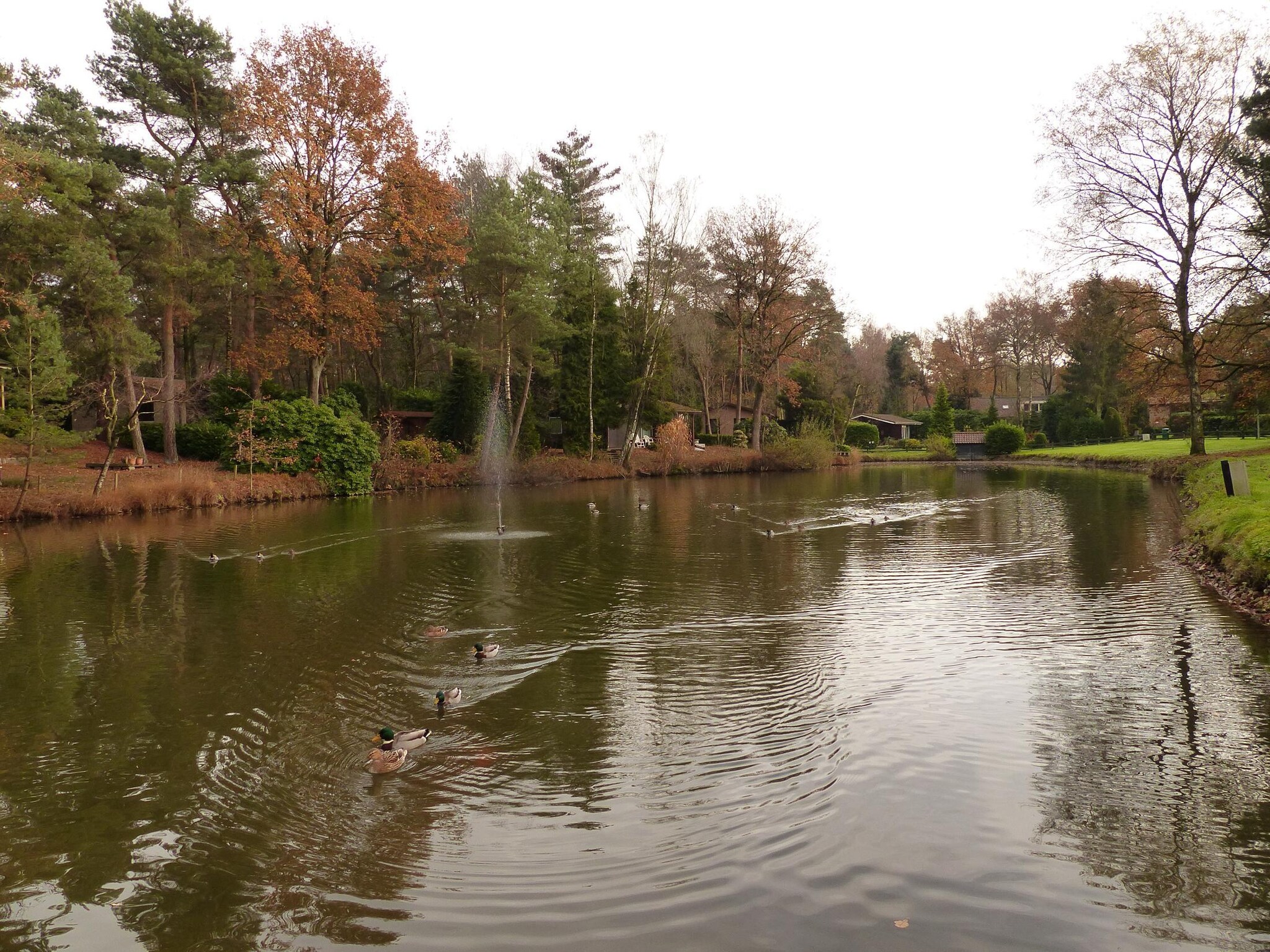 Casa de vacaciones Parc de Kievit 6