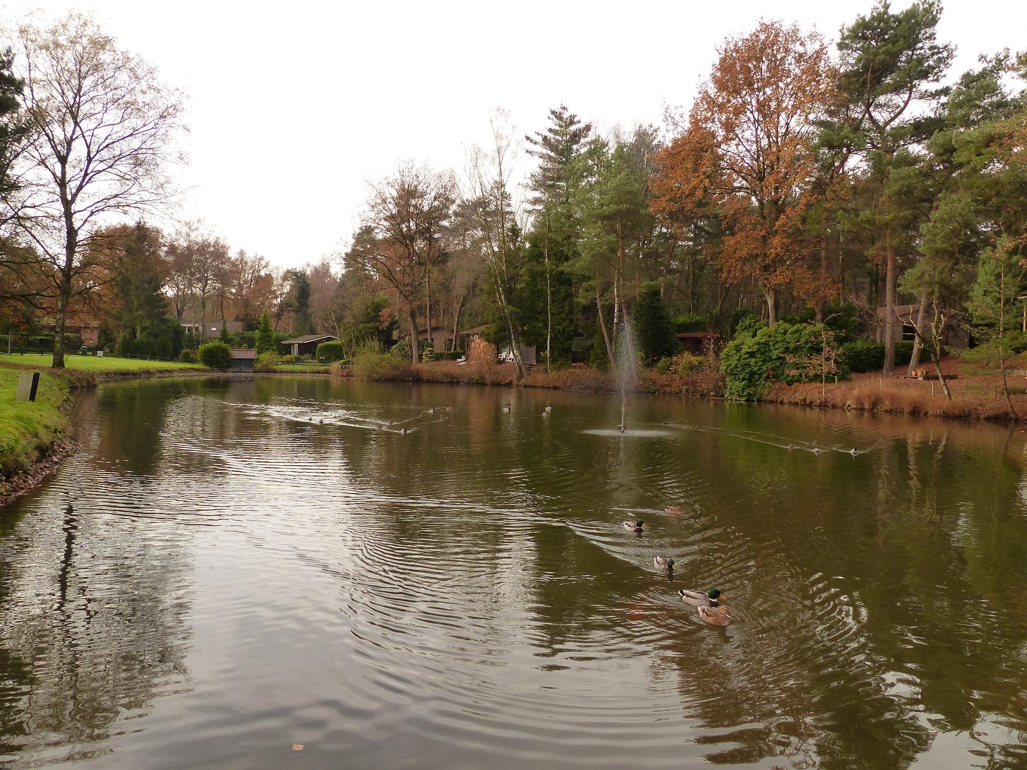 Casa de vacaciones Parc de Kievit 6