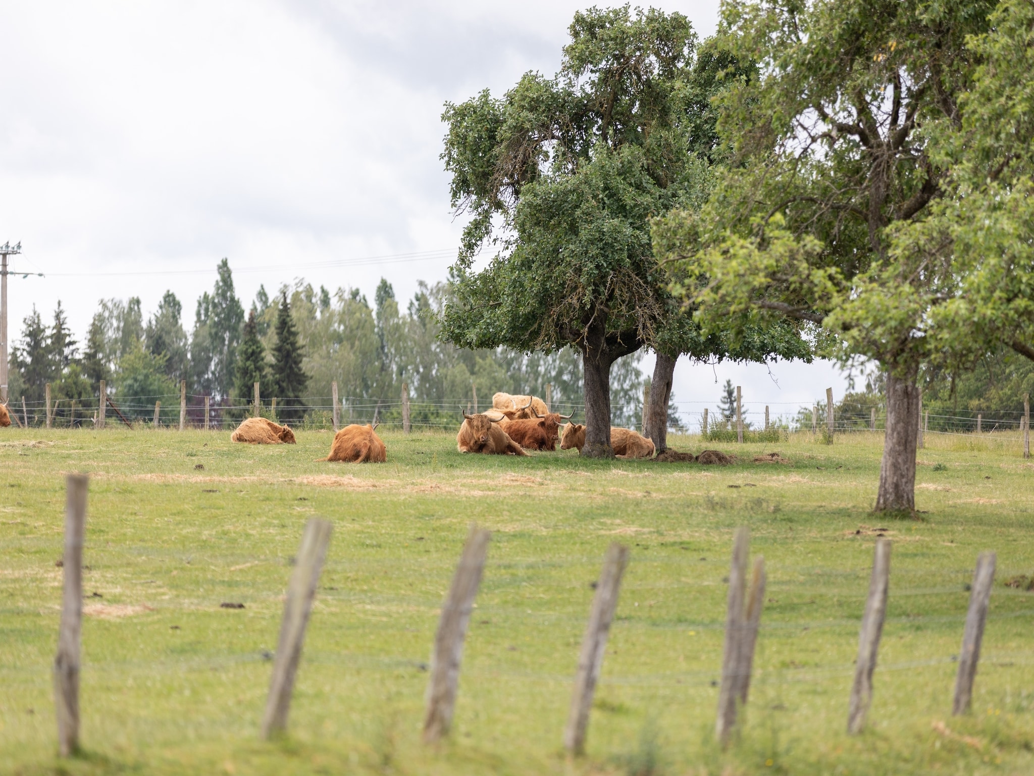   Gite au Grenier d'abondance