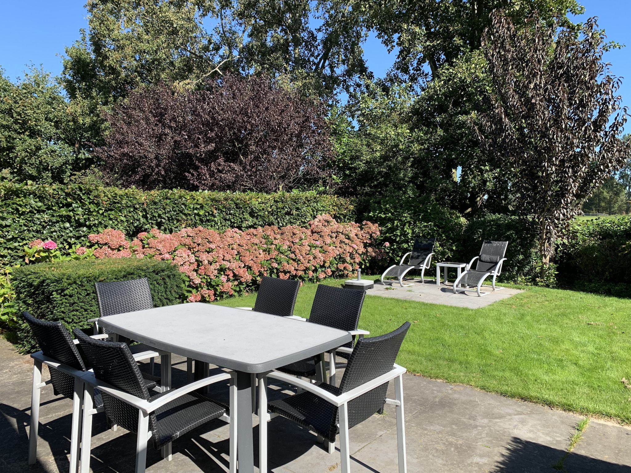   Resort Koningshof 7