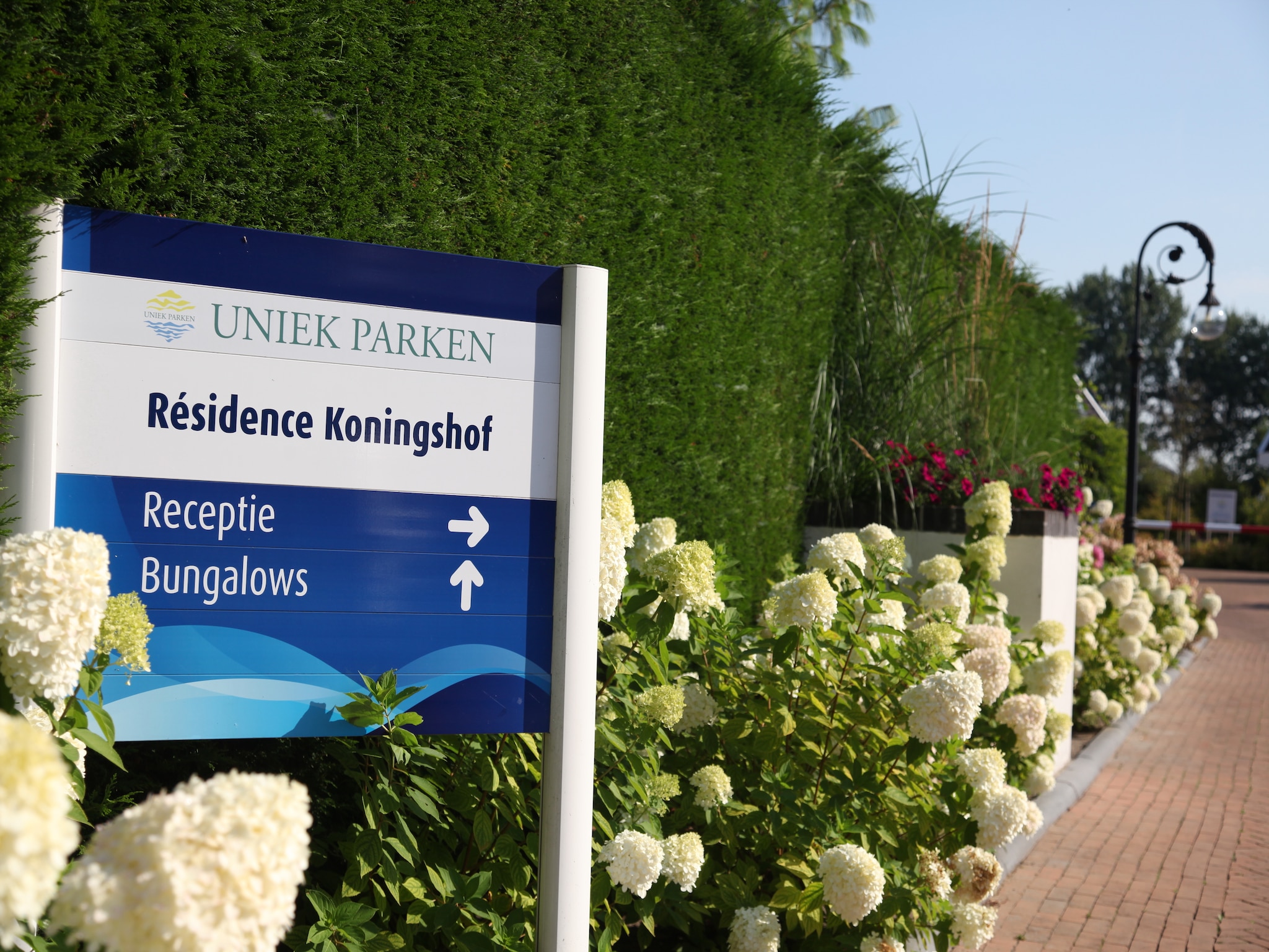   Resort Koningshof 7