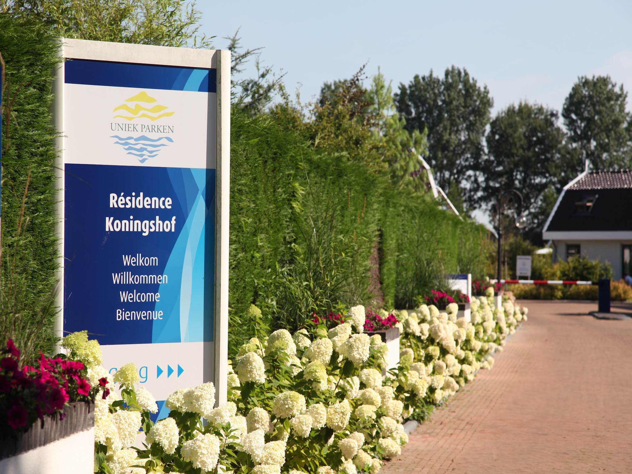   Resort Koningshof 7