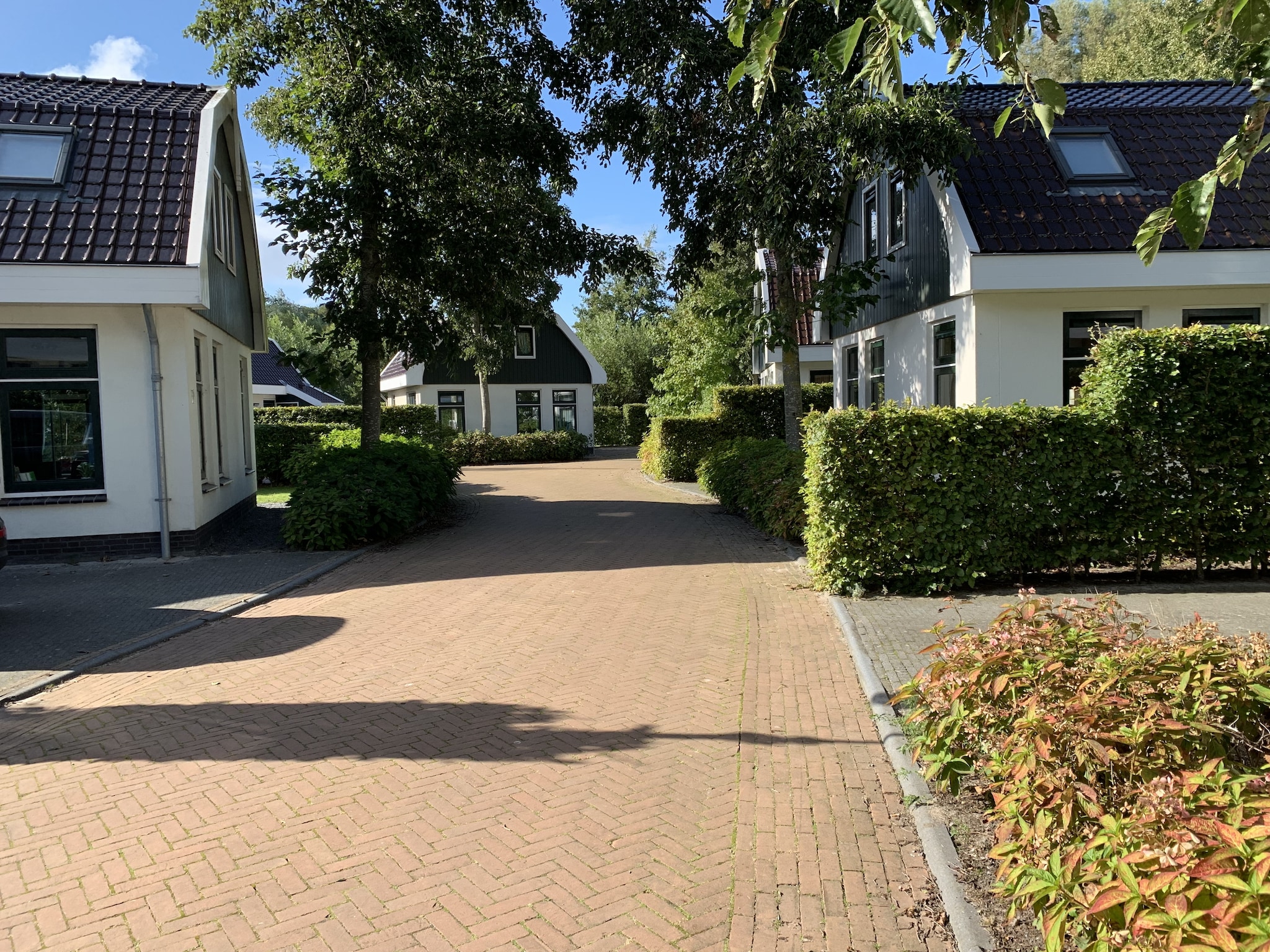   Resort Koningshof 7