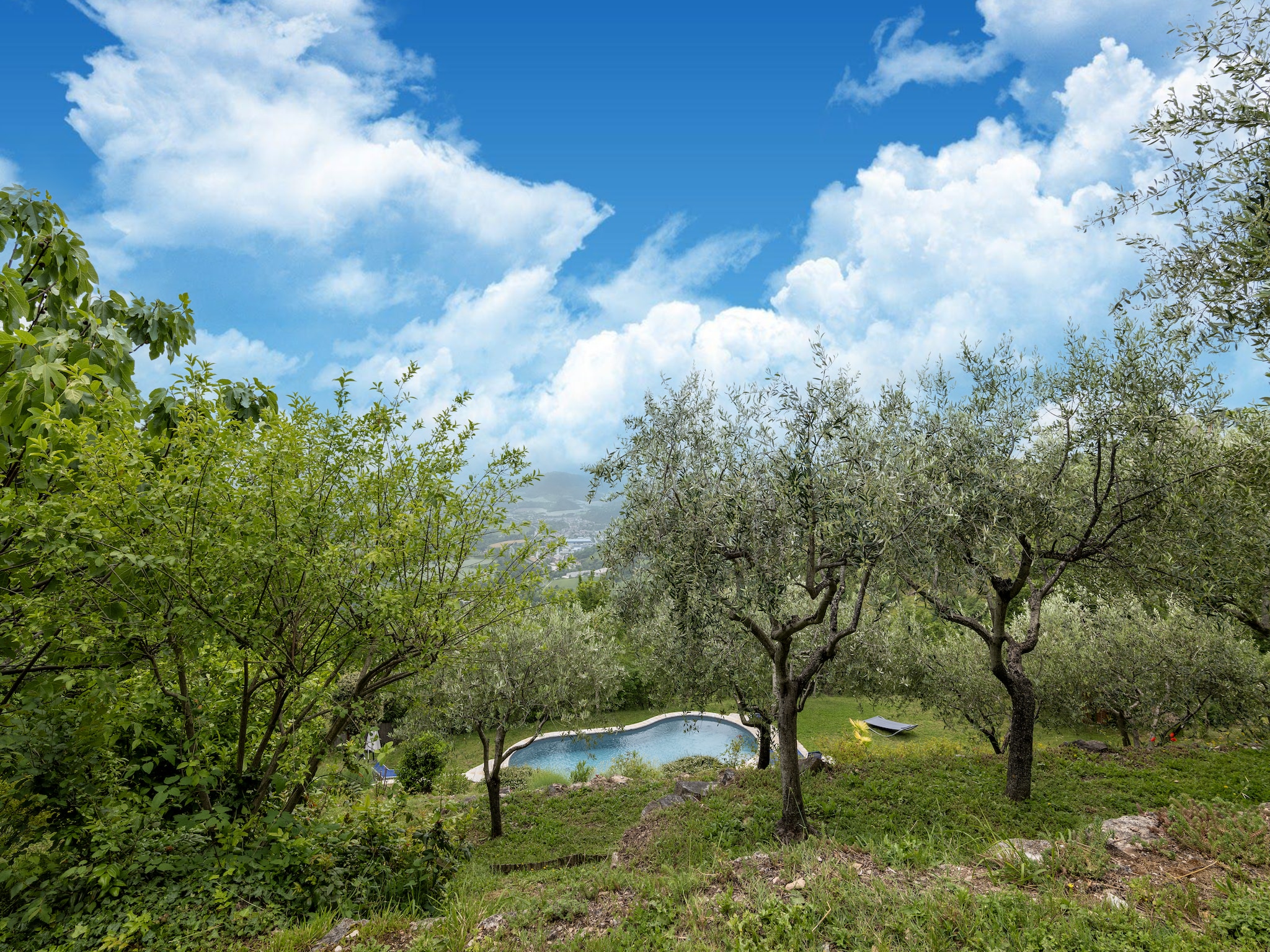   Il Conio Ginestra