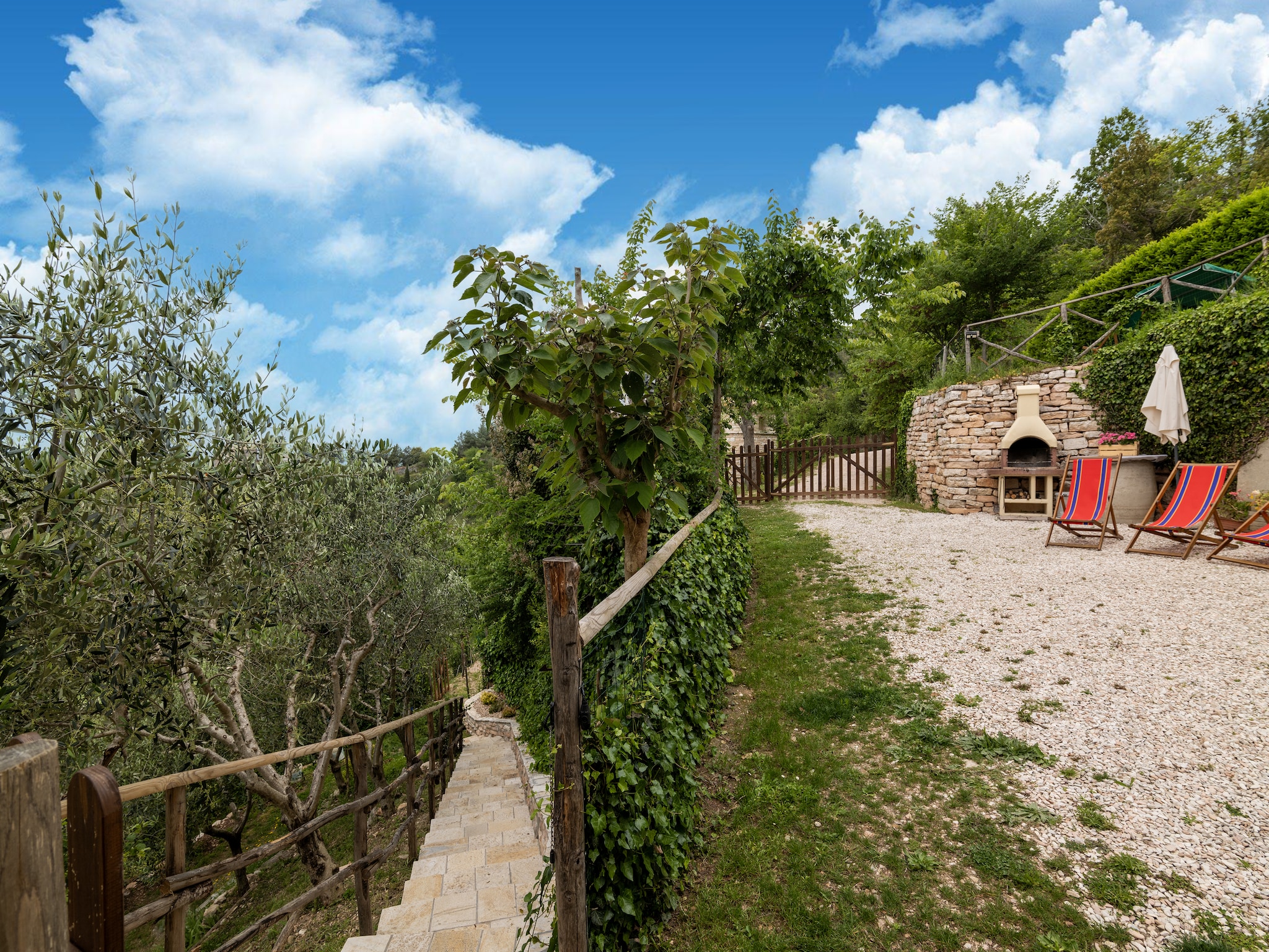   Il Conio Ginestra