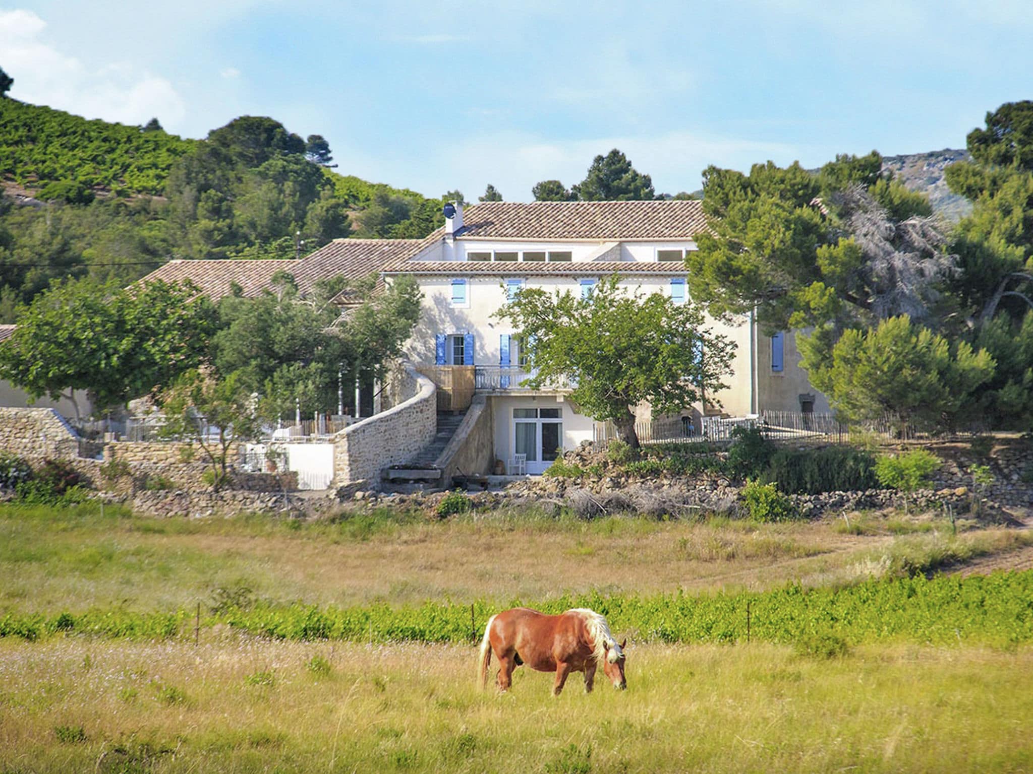 Ferienwohnung Gîte de luxe dans les vignes 2