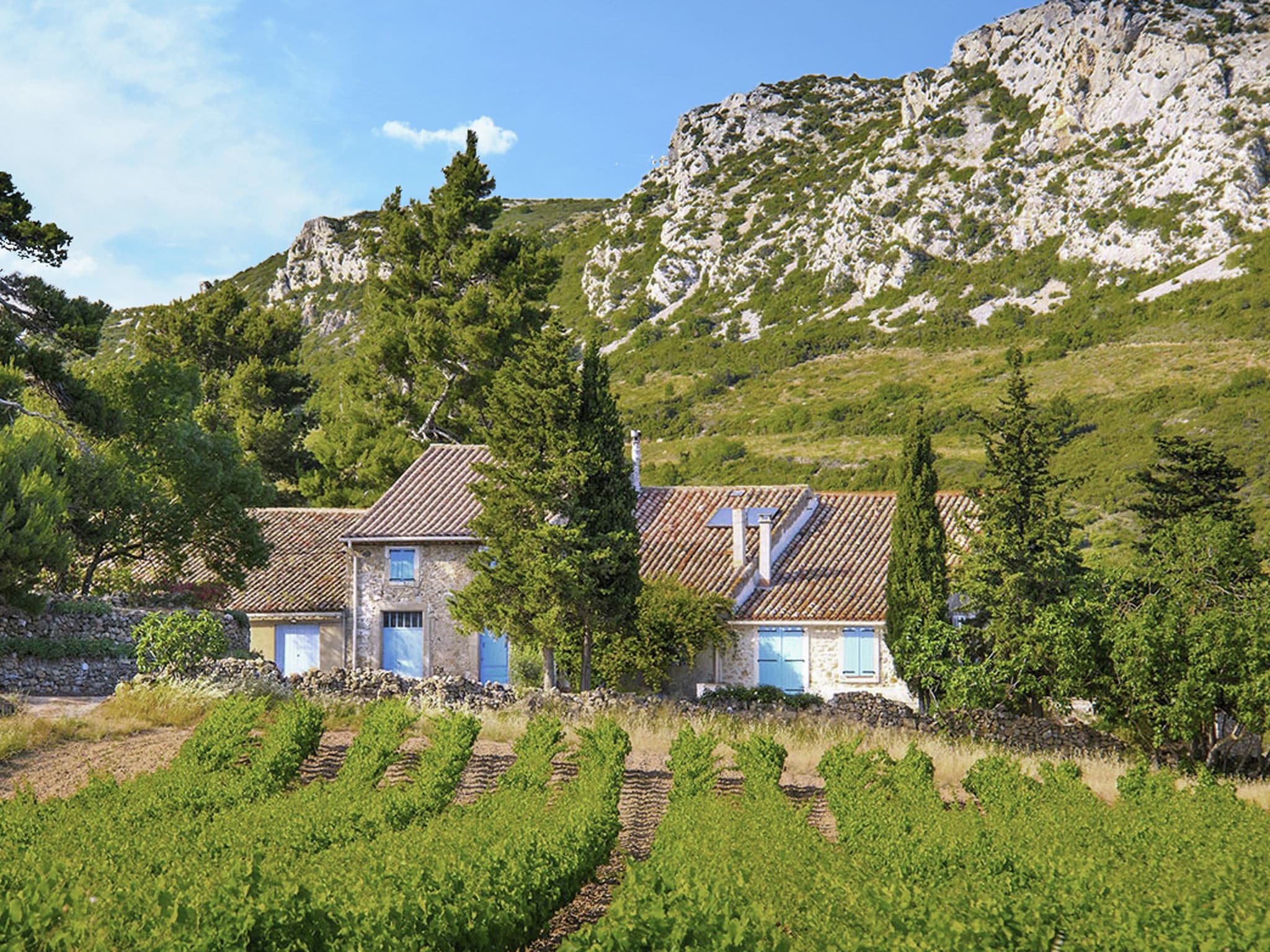 Ferienwohnung Gîte de luxe dans les vignes 4