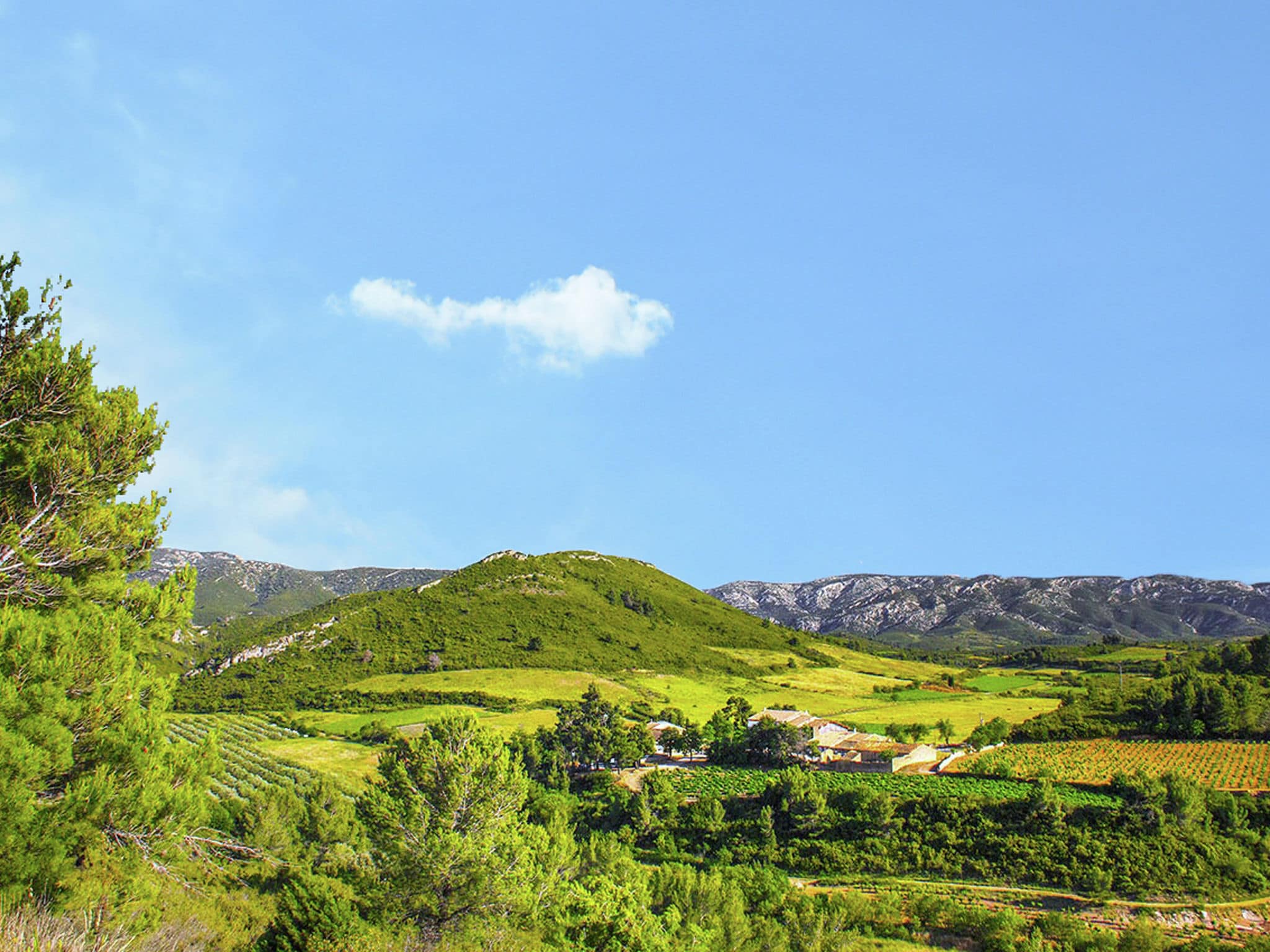 Ferienwohnung Gîte de luxe dans les vignes 5