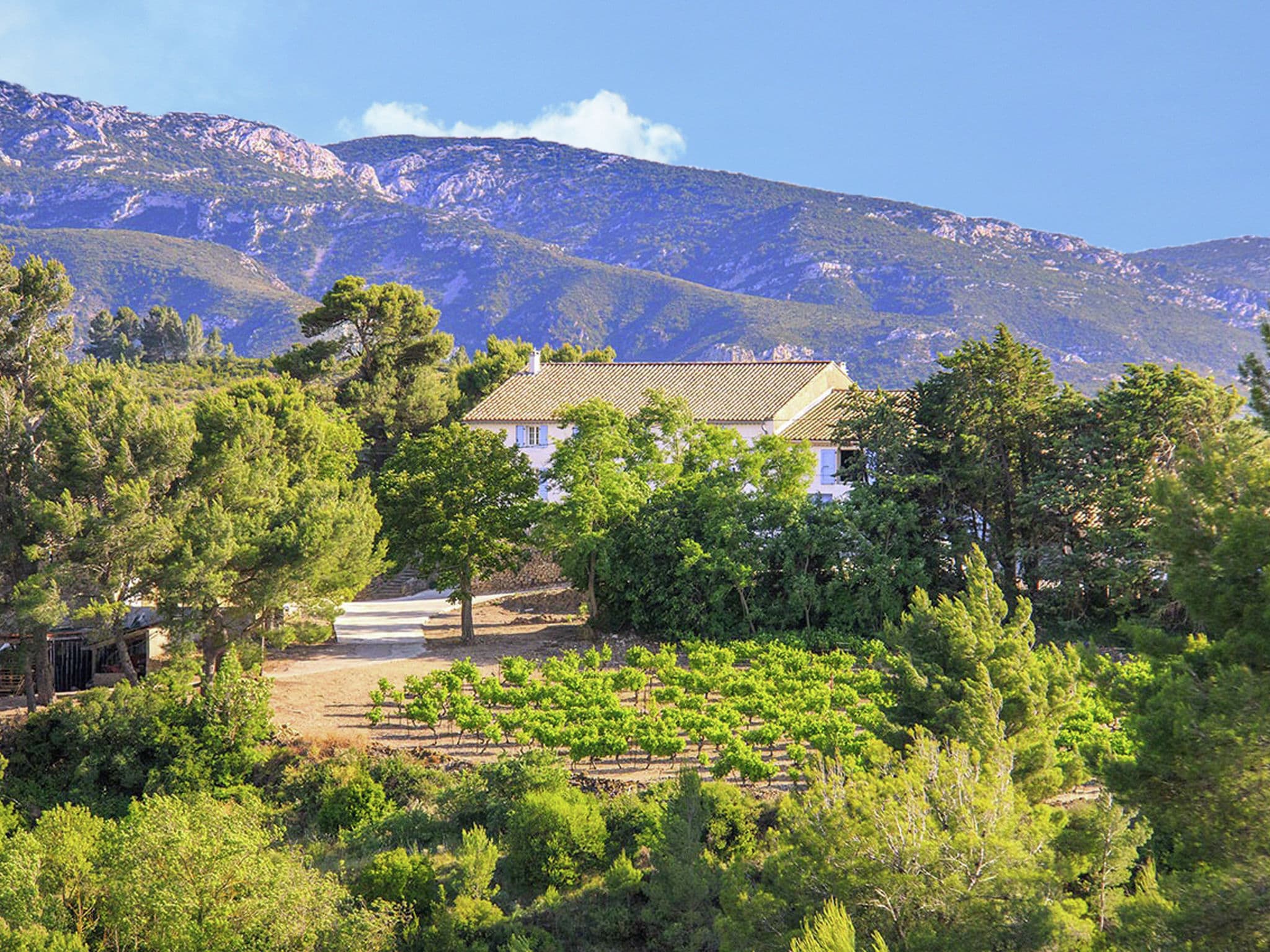 Ferienwohnung Gîte de luxe dans les vignes 5
