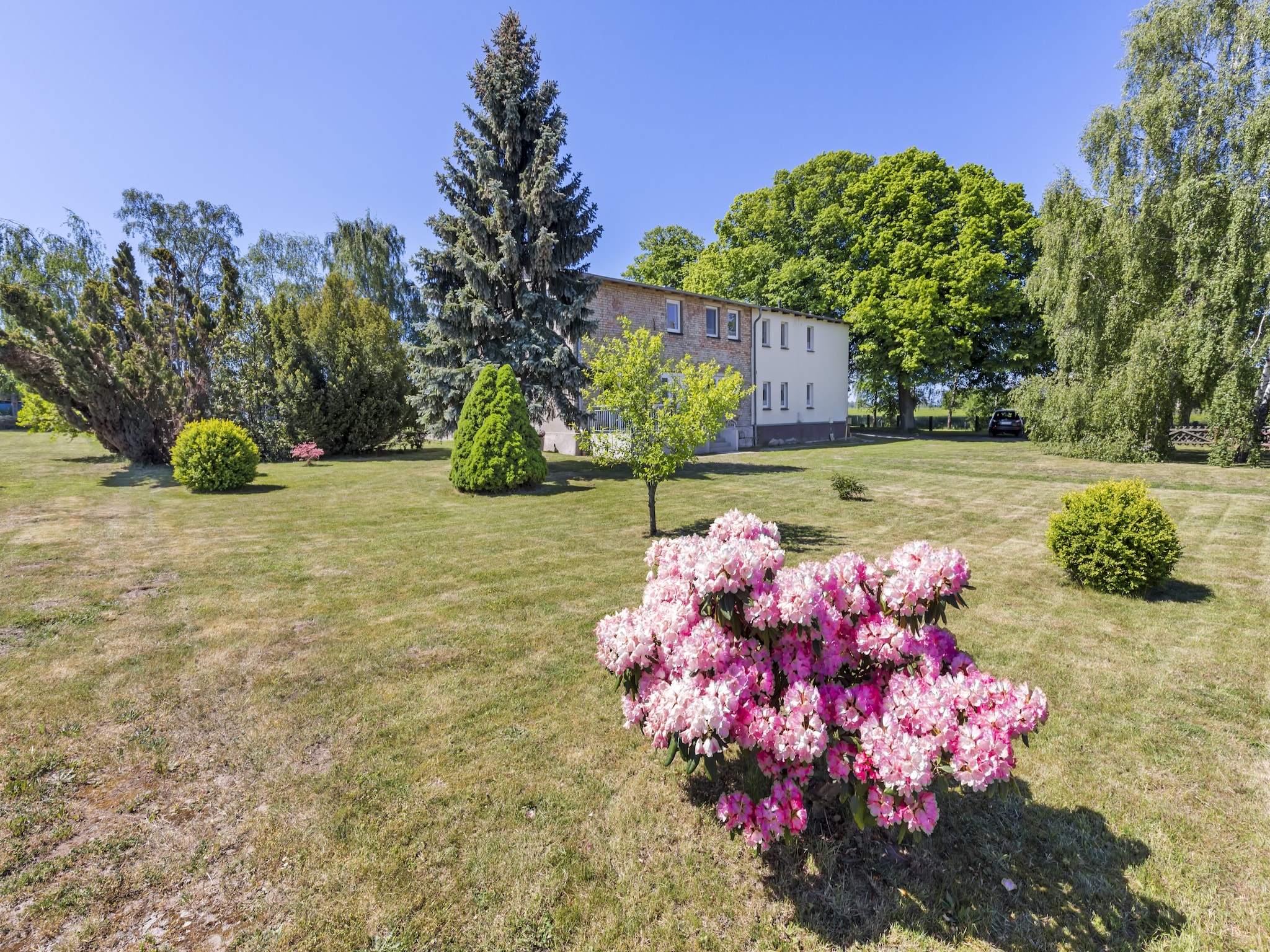 Ferienwohnung Ferienwohnung in Kühlungsborn