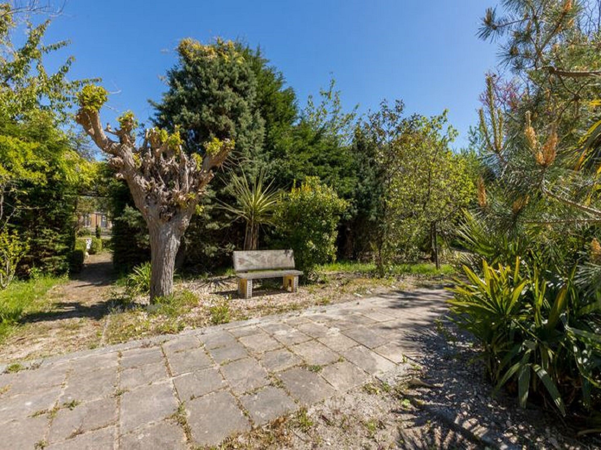   Fort den Haak - Chalet 1 t/m 10 huisdiervrij