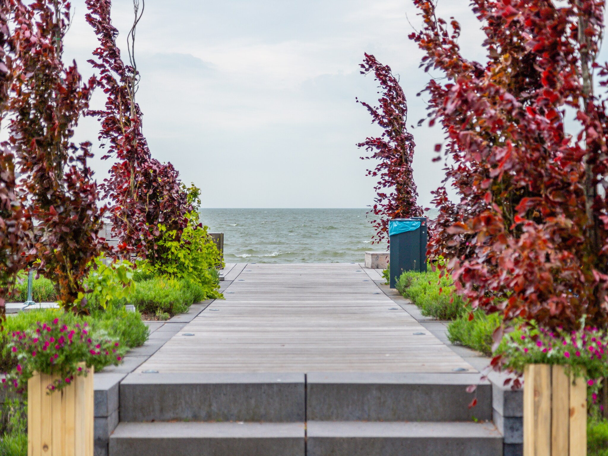 Dom Resort Markermeer 6