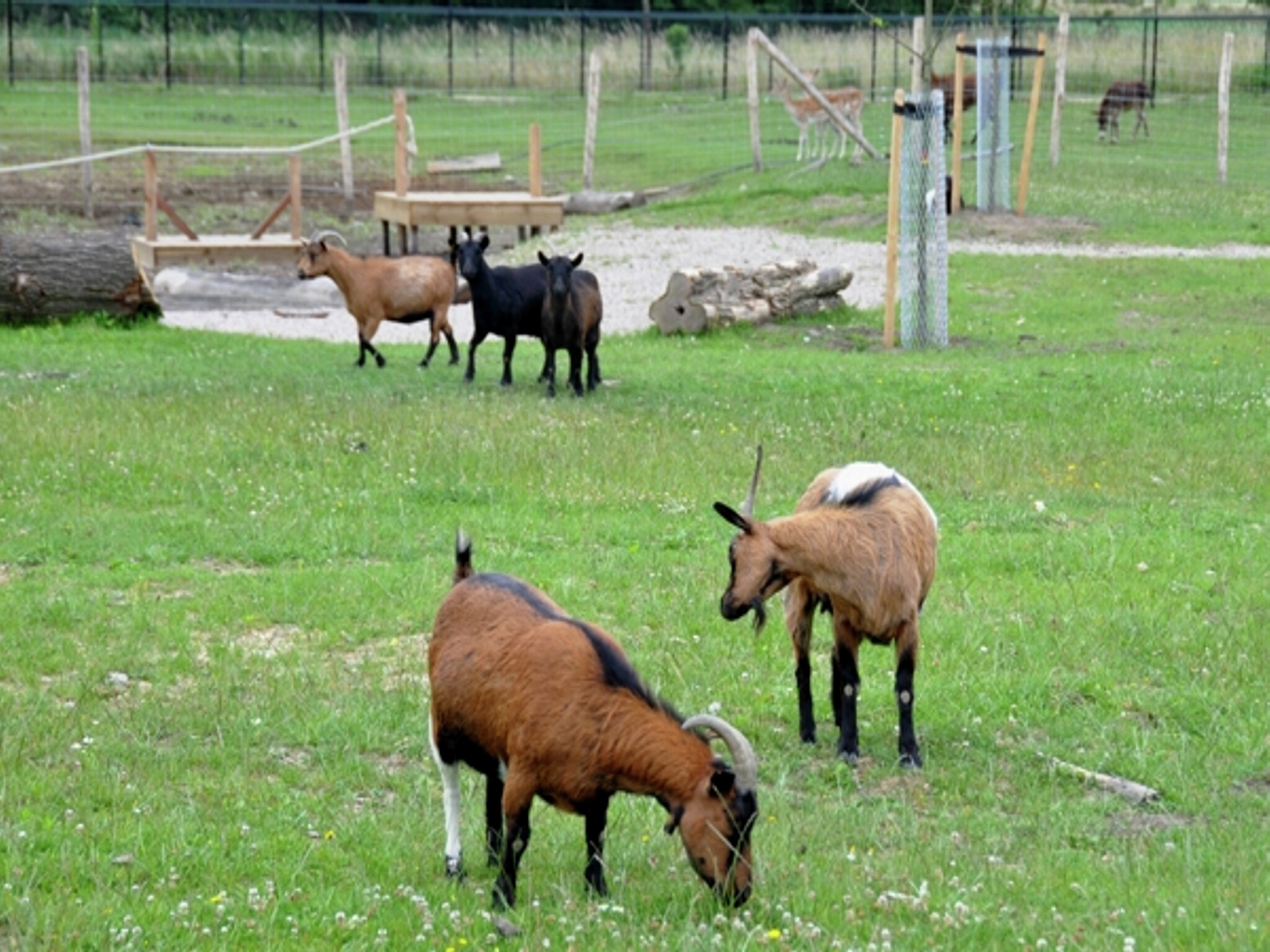 Vakantiehuis Resort Limburg 36