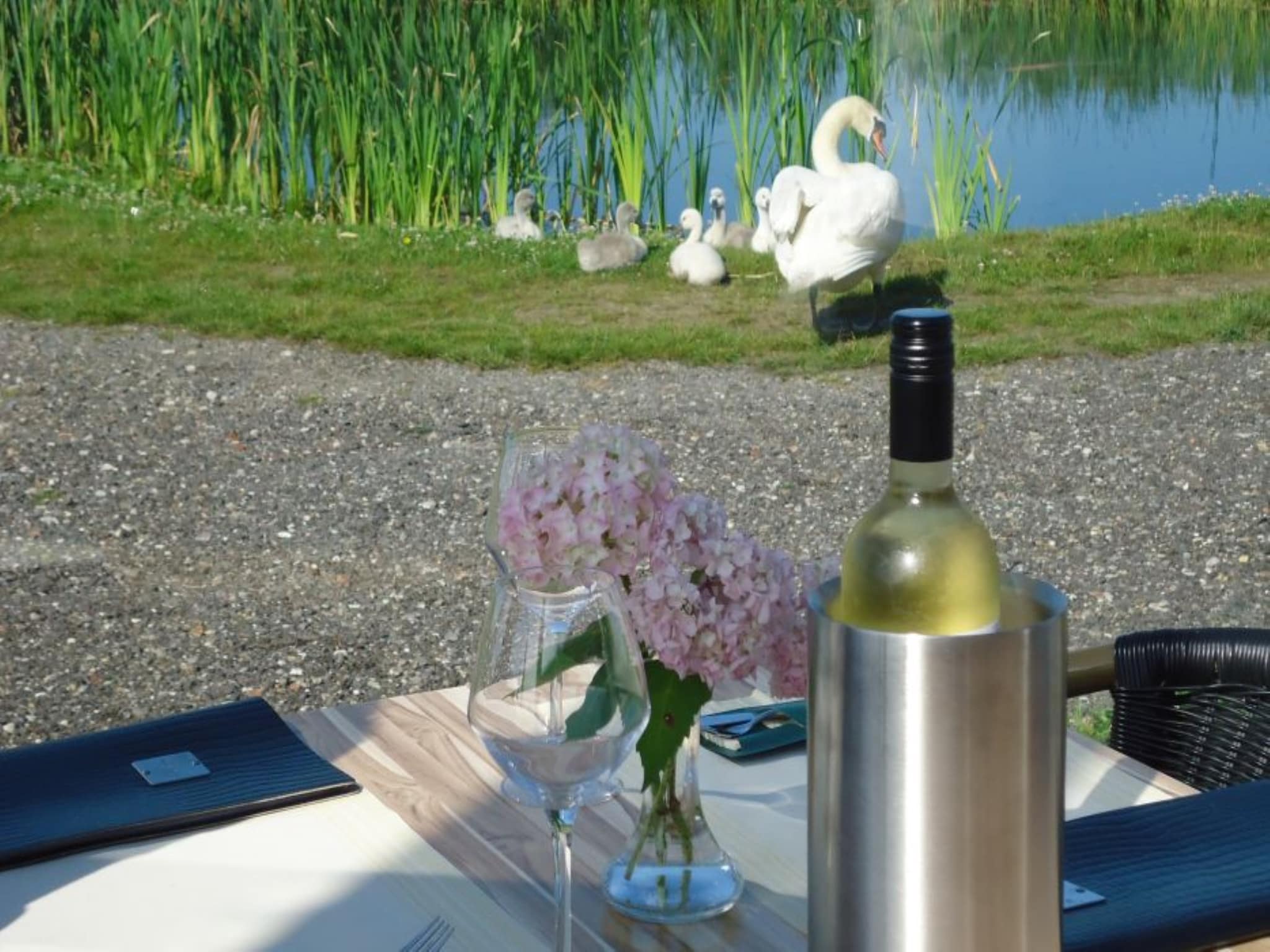   Watervilla Harderwijk 341