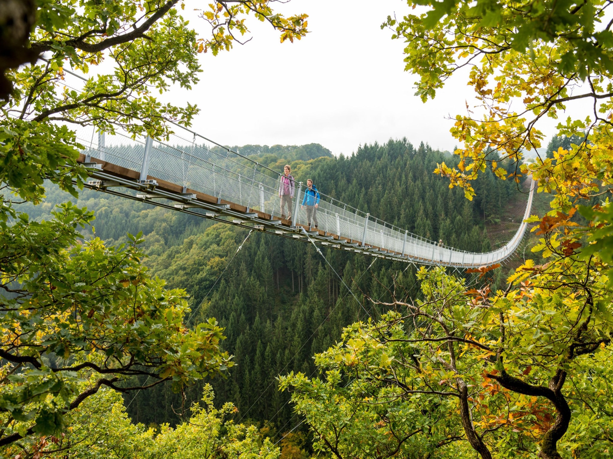   Wohlfühl Ferienhaus Henn Eifellust