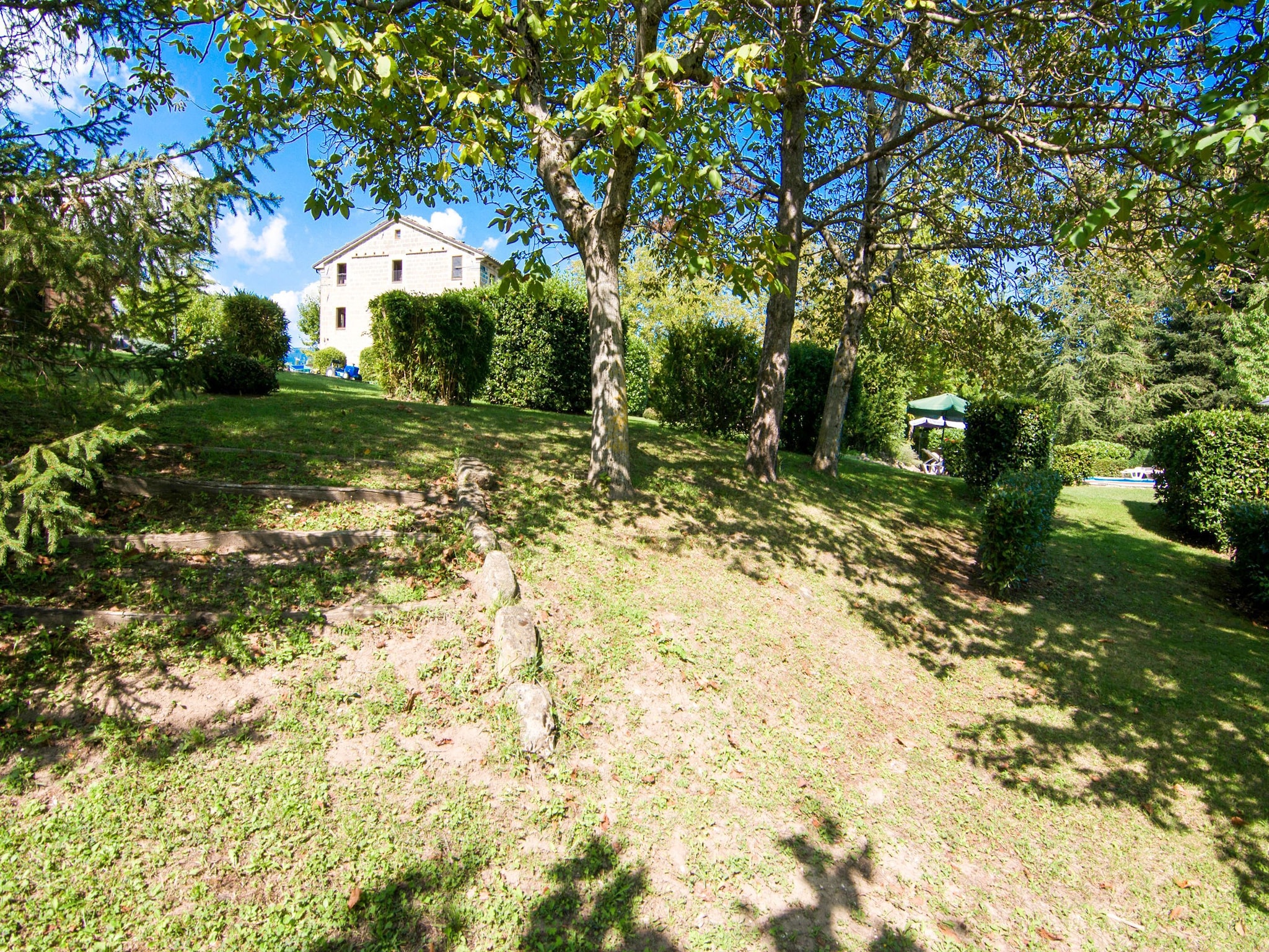   Fattoria 19