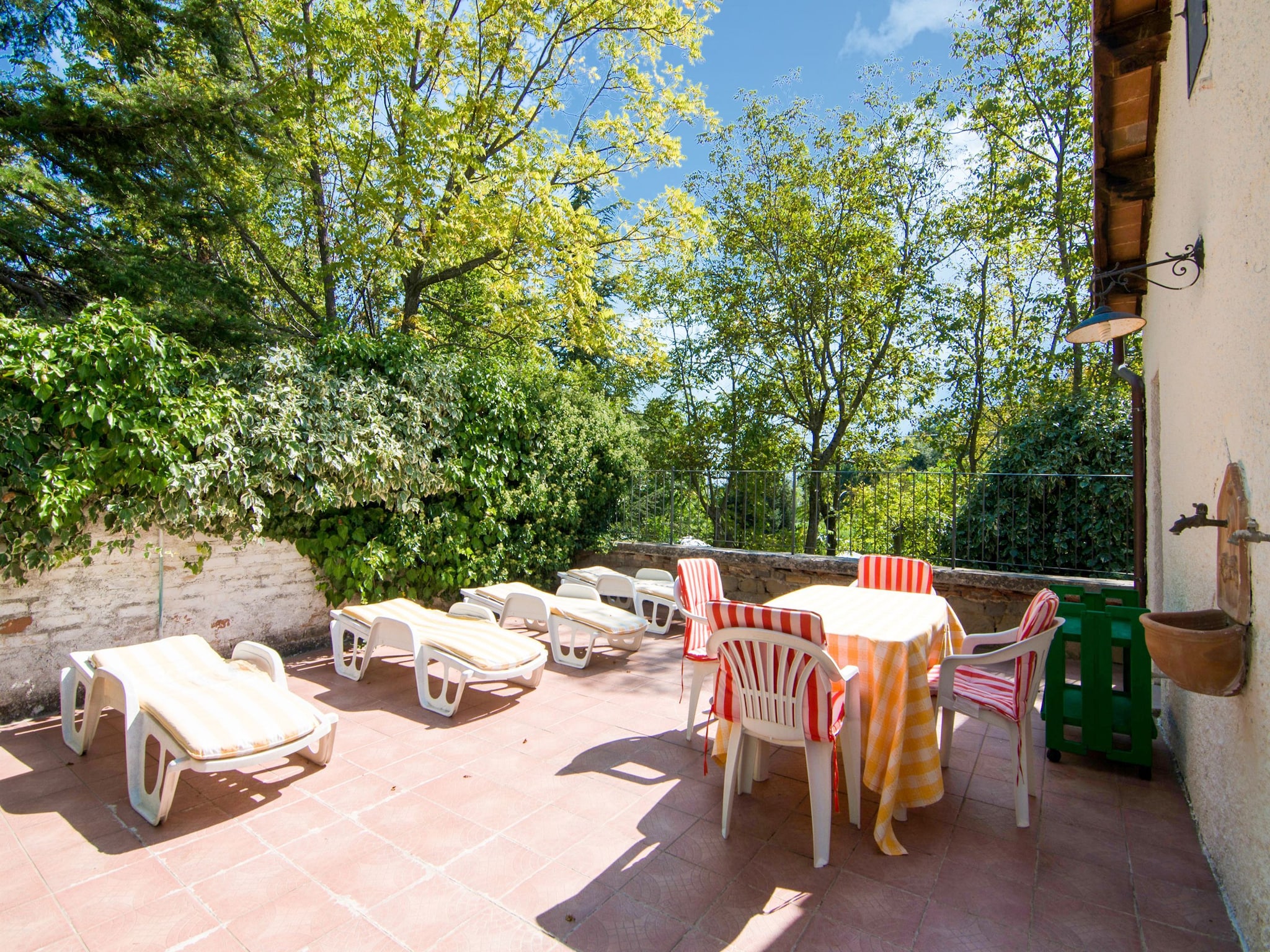   Fattoria 19