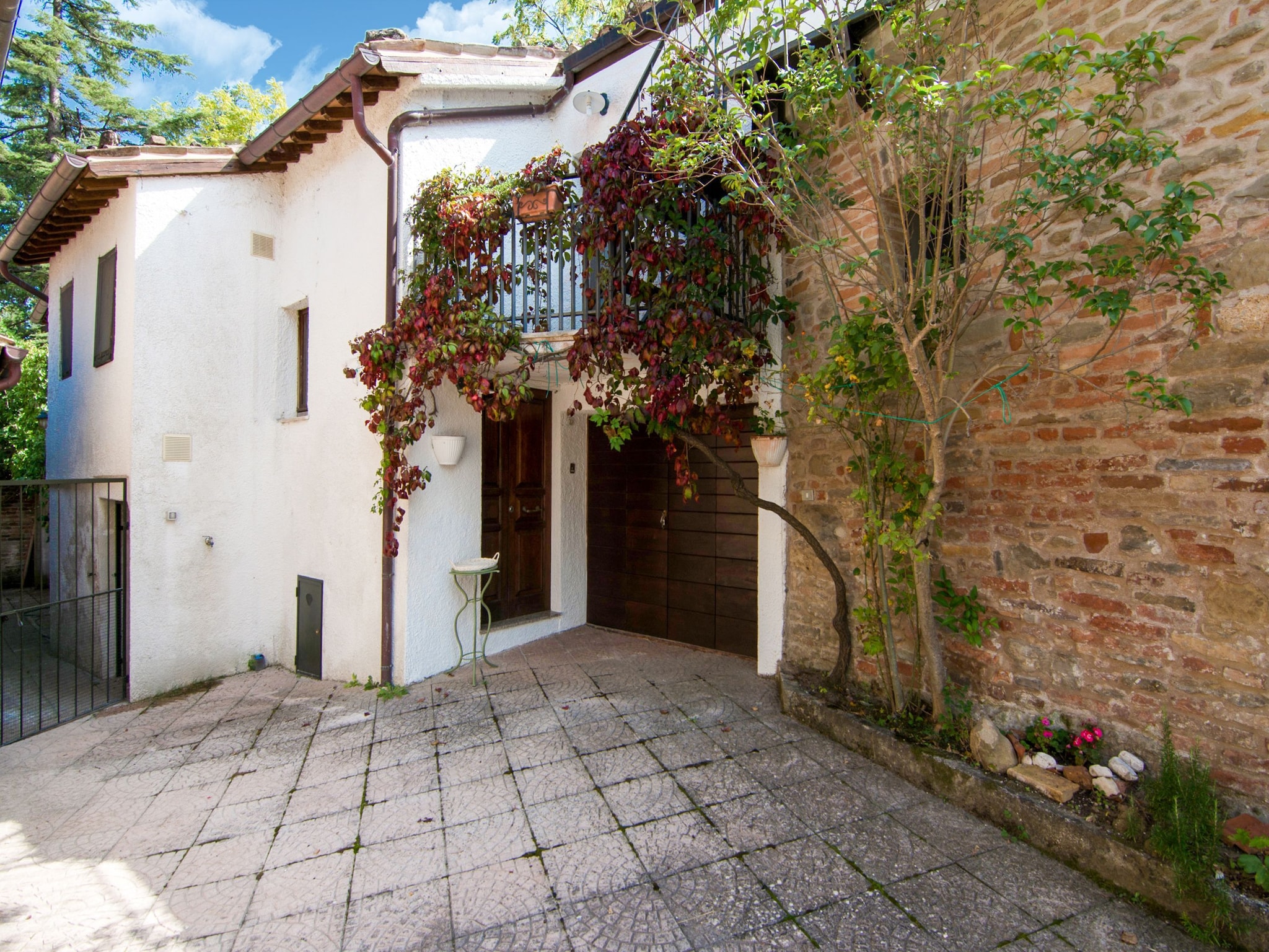   Fattoria 19