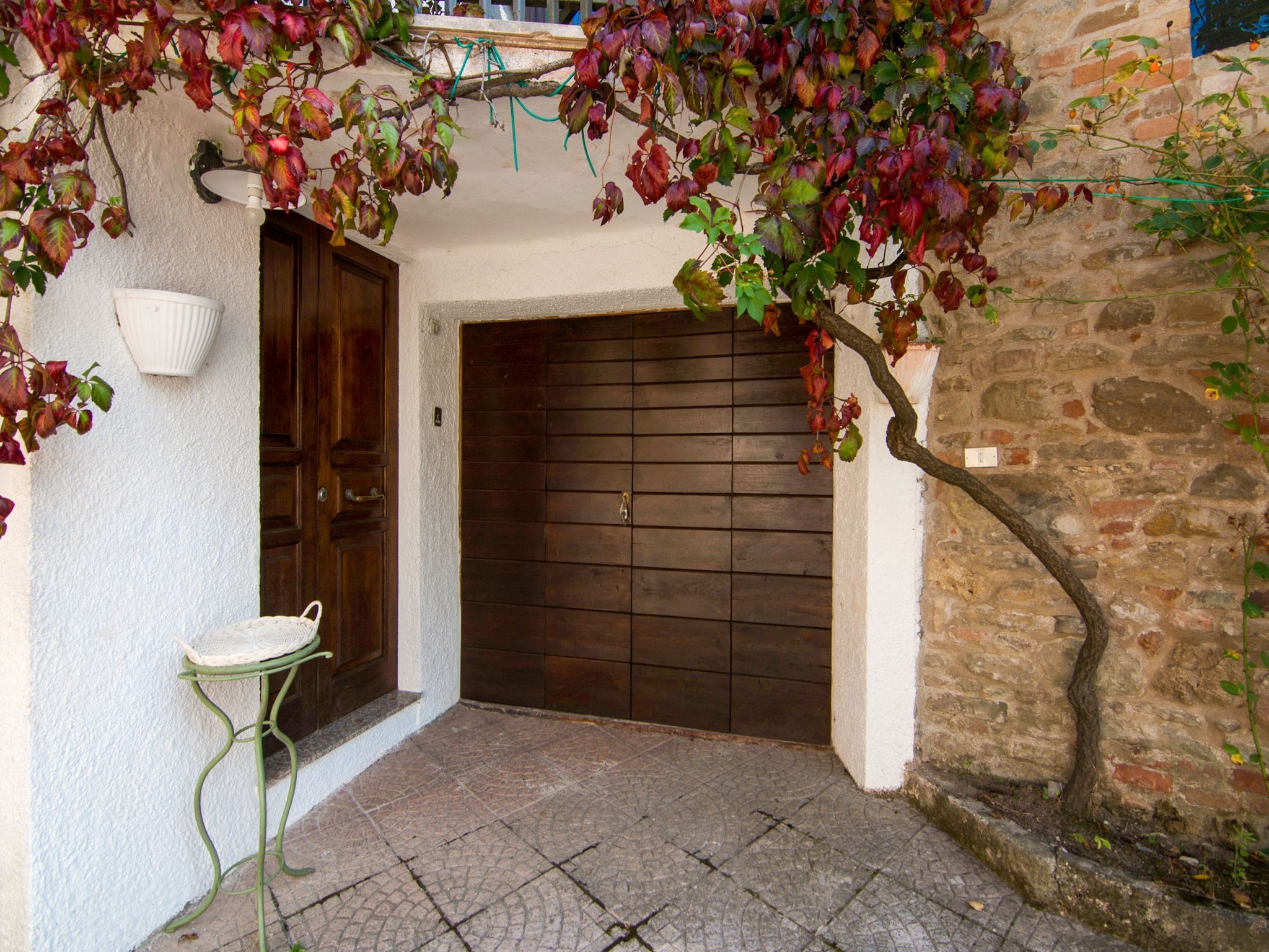   Fattoria 19