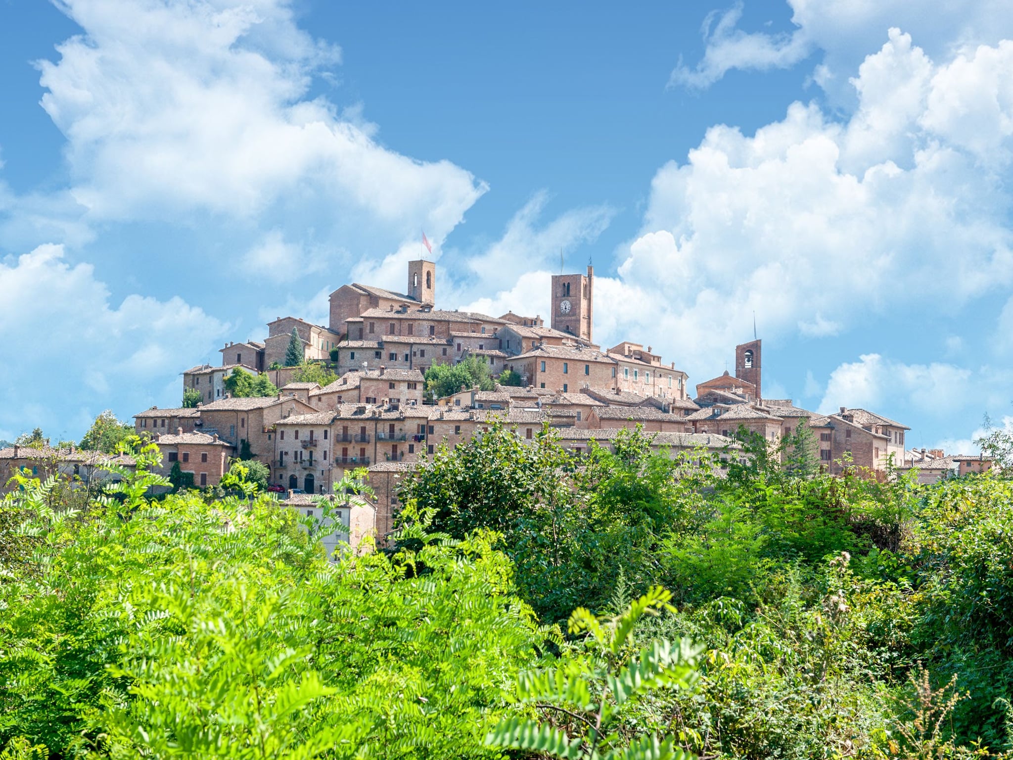   Fattoria 19