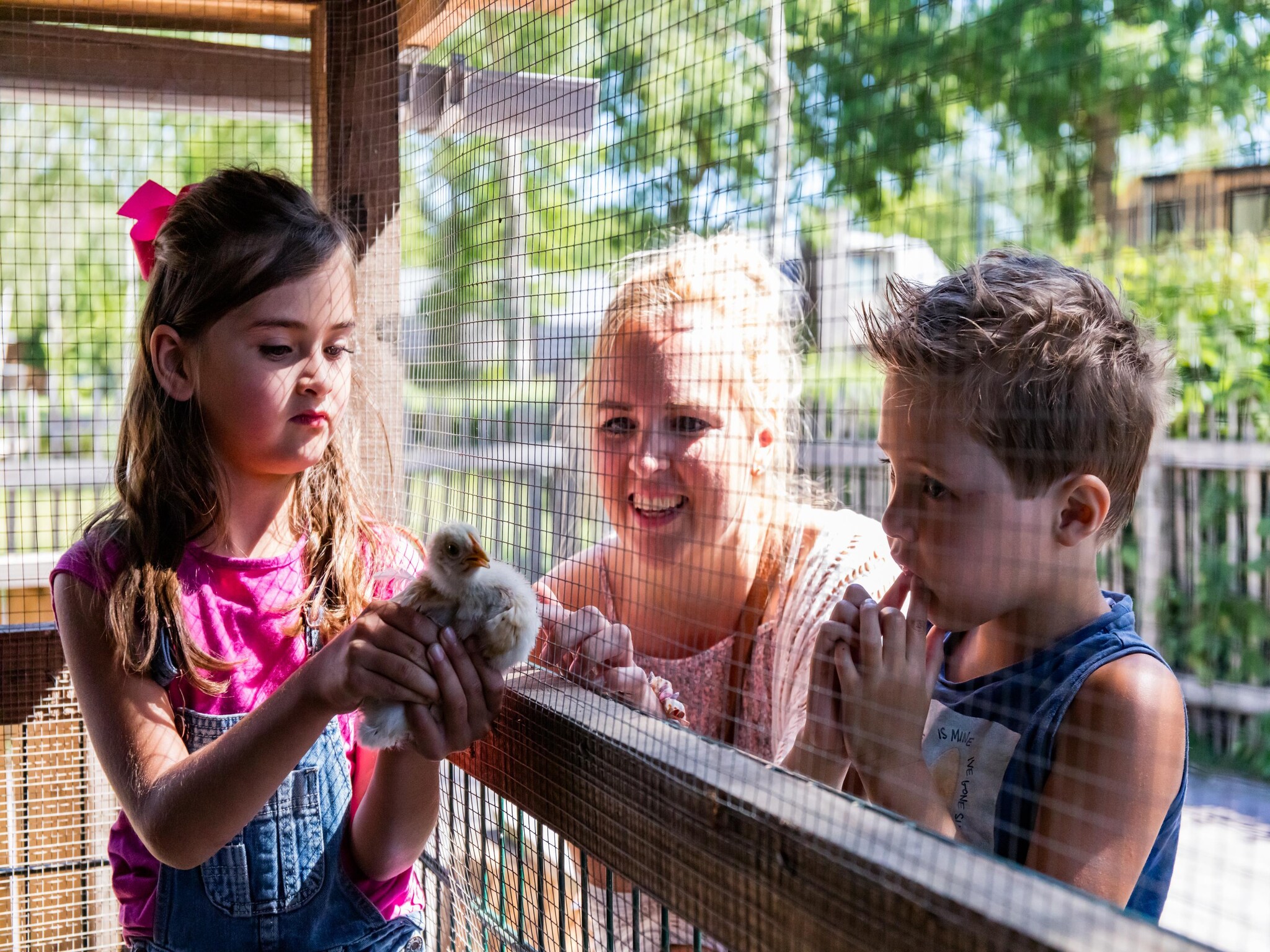 Ferienhaus Resort Zuiderzee 7