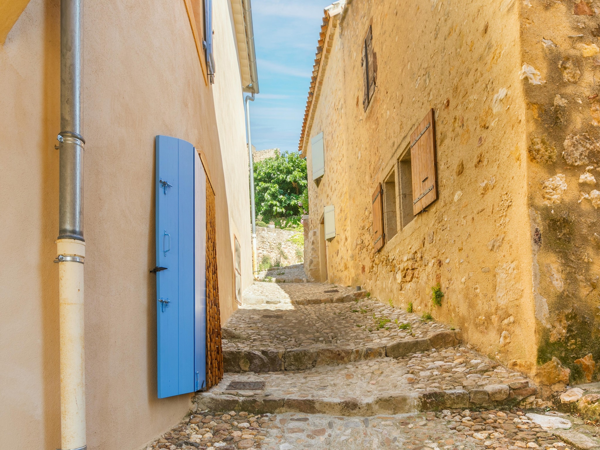  La vigneronne
