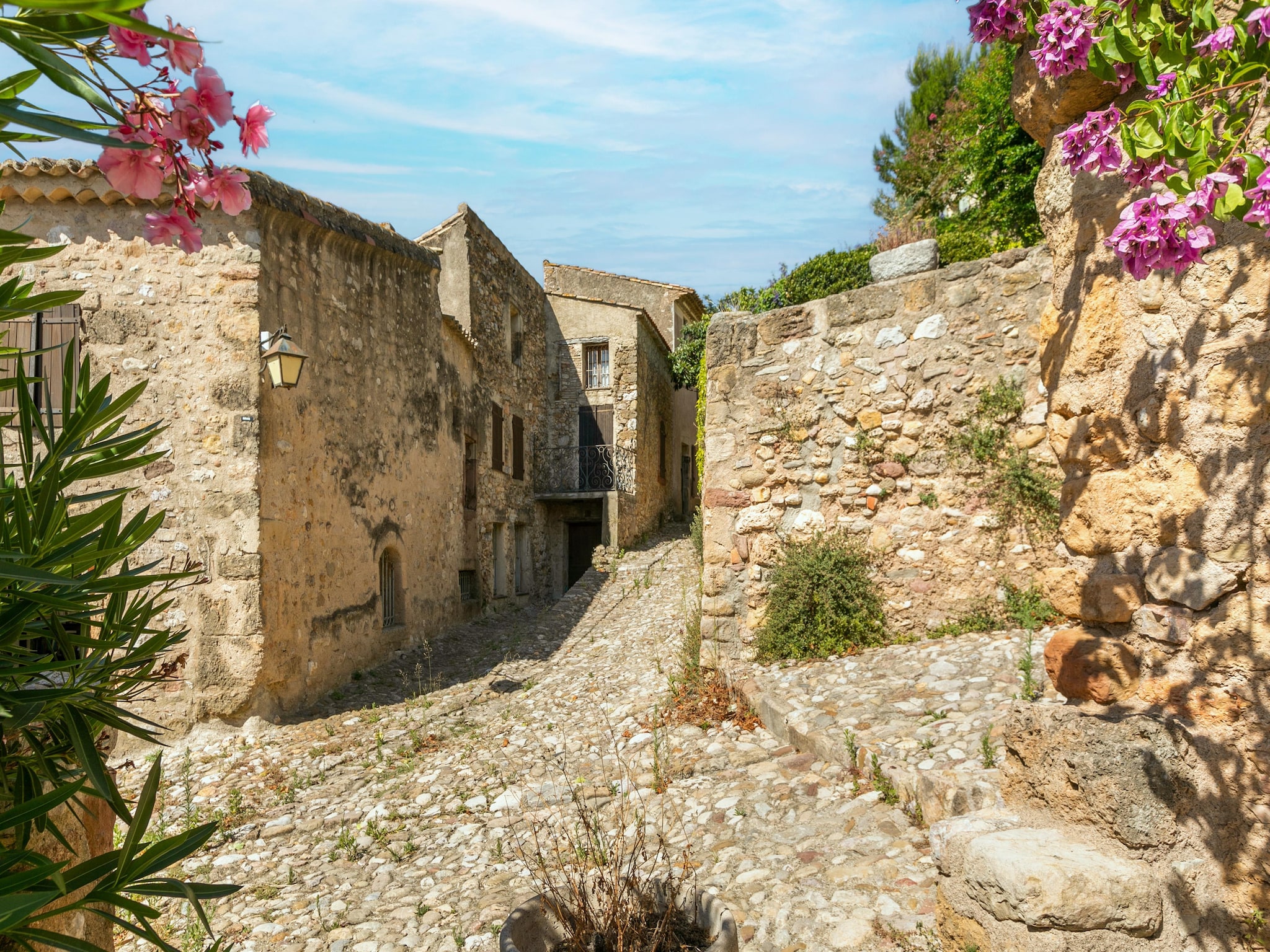   La vigneronne