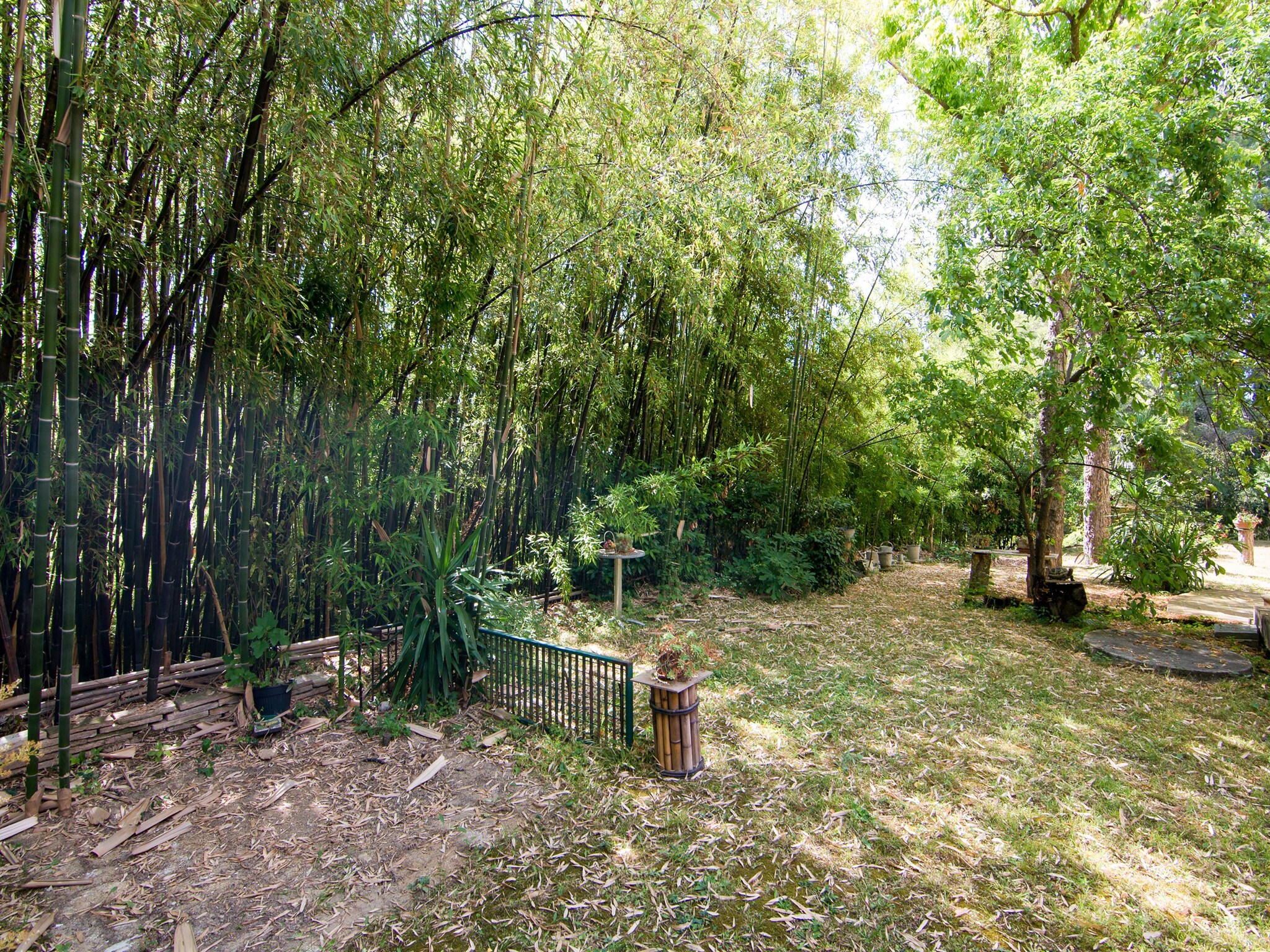 Casa di vacanze Villa Montegiove