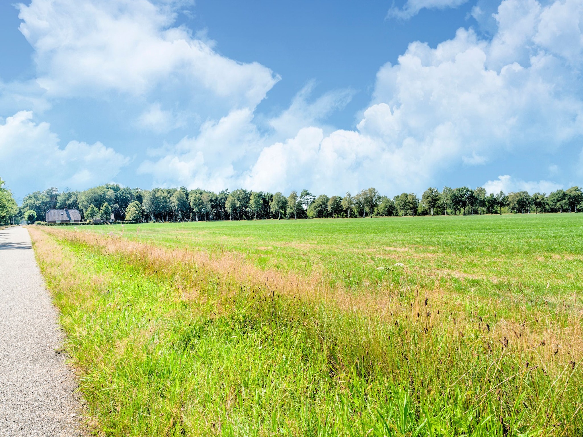 Vakantiehuis Huisje 84