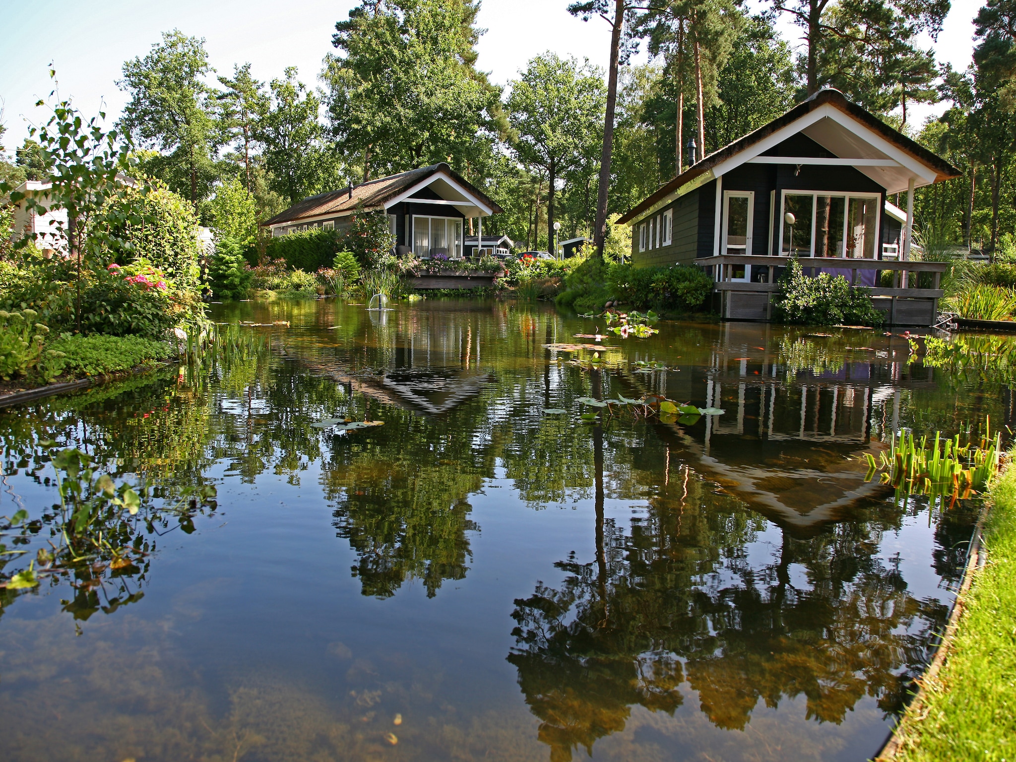 Vakantiehuis Bospark Markelo 6