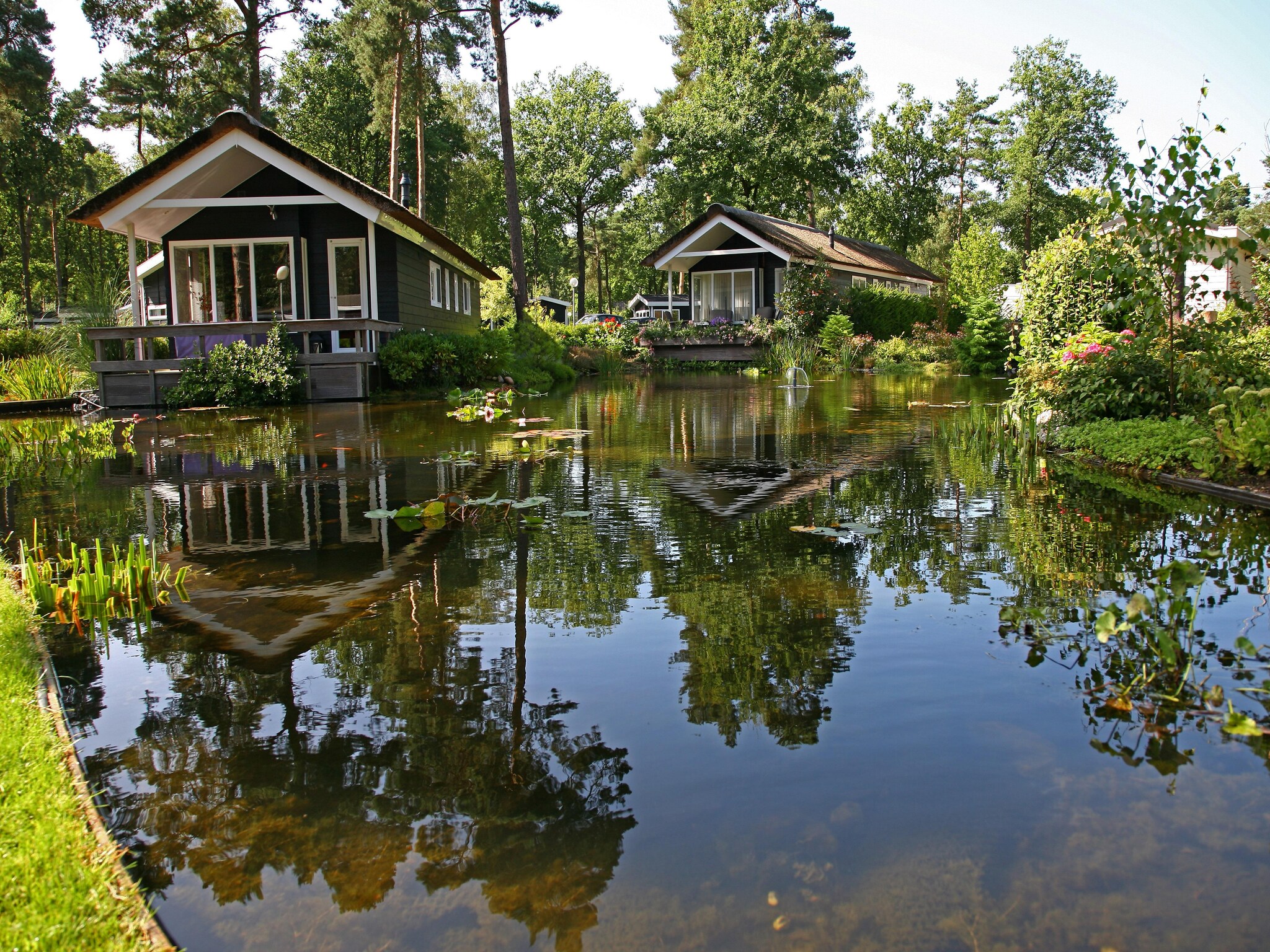 Vakantiehuis Bospark Markelo 6