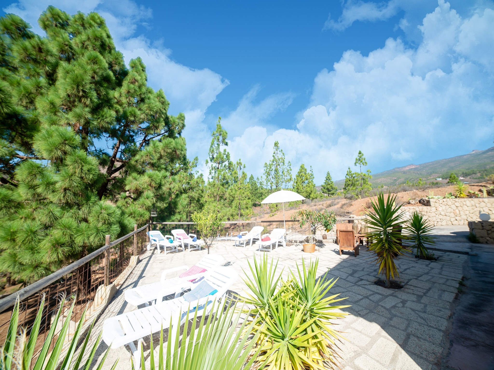 Appartamento Tenerife Nature Retreat