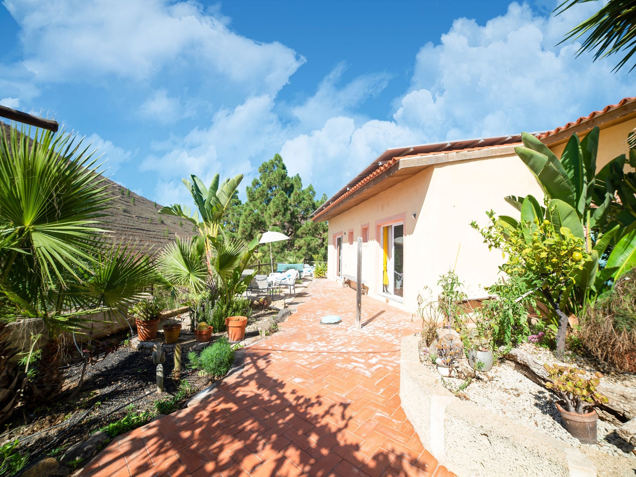 Appartamento Tenerife Nature Retreat