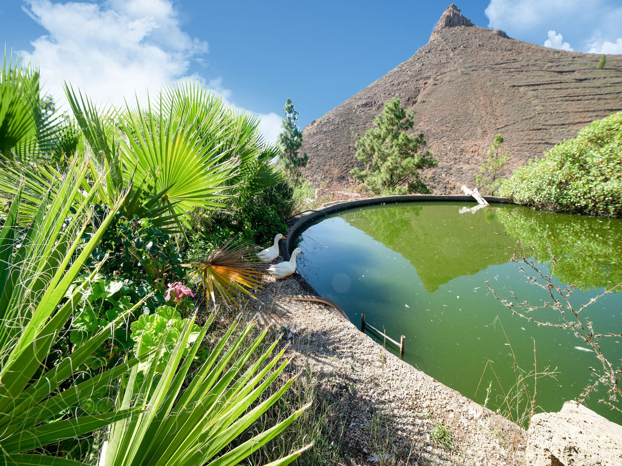 Appartamento Tenerife Nature Retreat